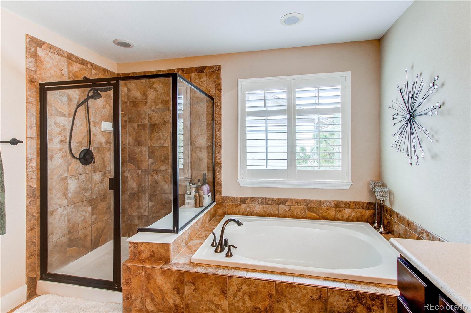 MLS Image #24 for 2766  red hawk ridge drive,castle rock, Colorado