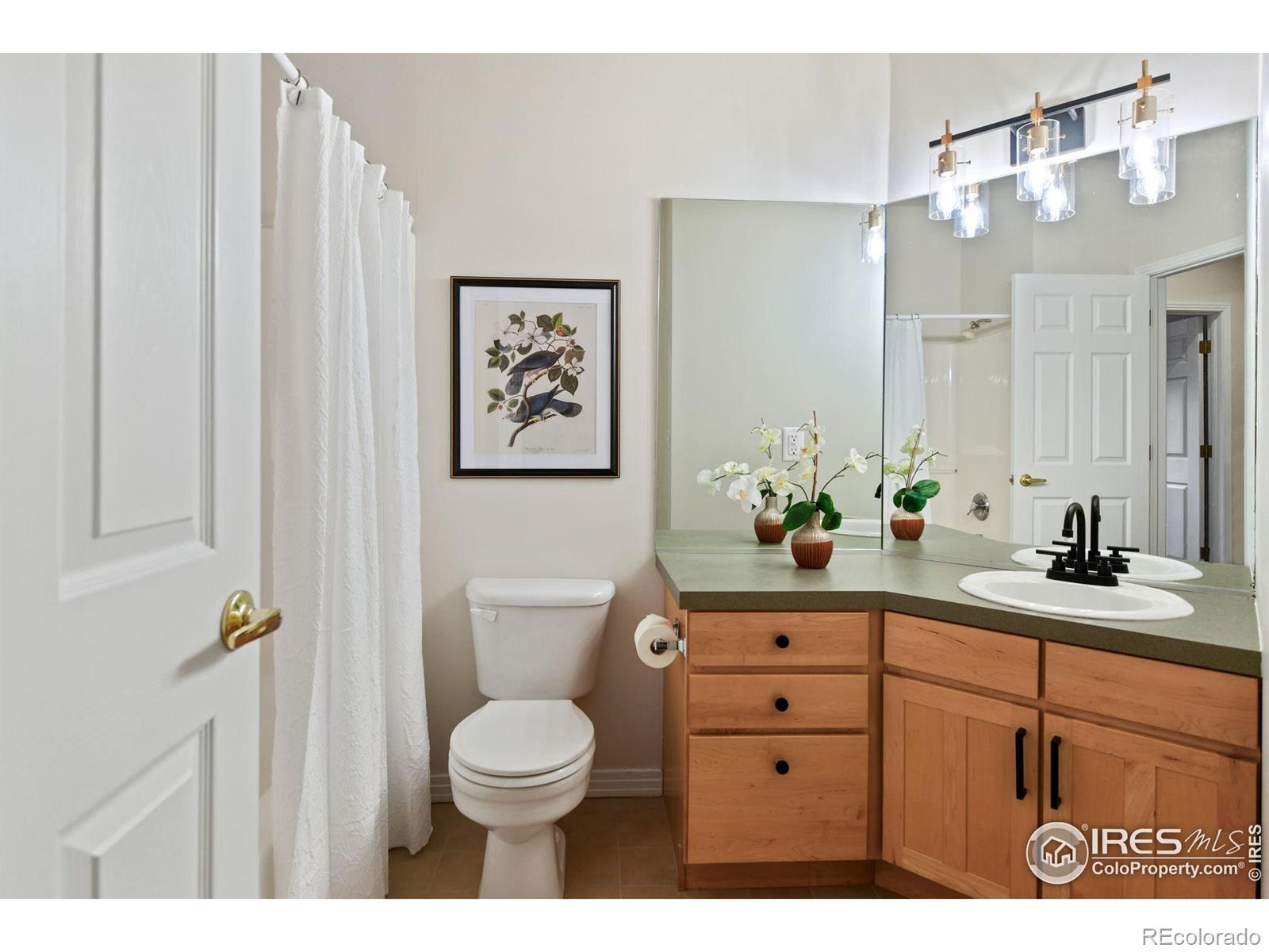 MLS Image #20 for 3126  yellowstone circle,fort collins, Colorado