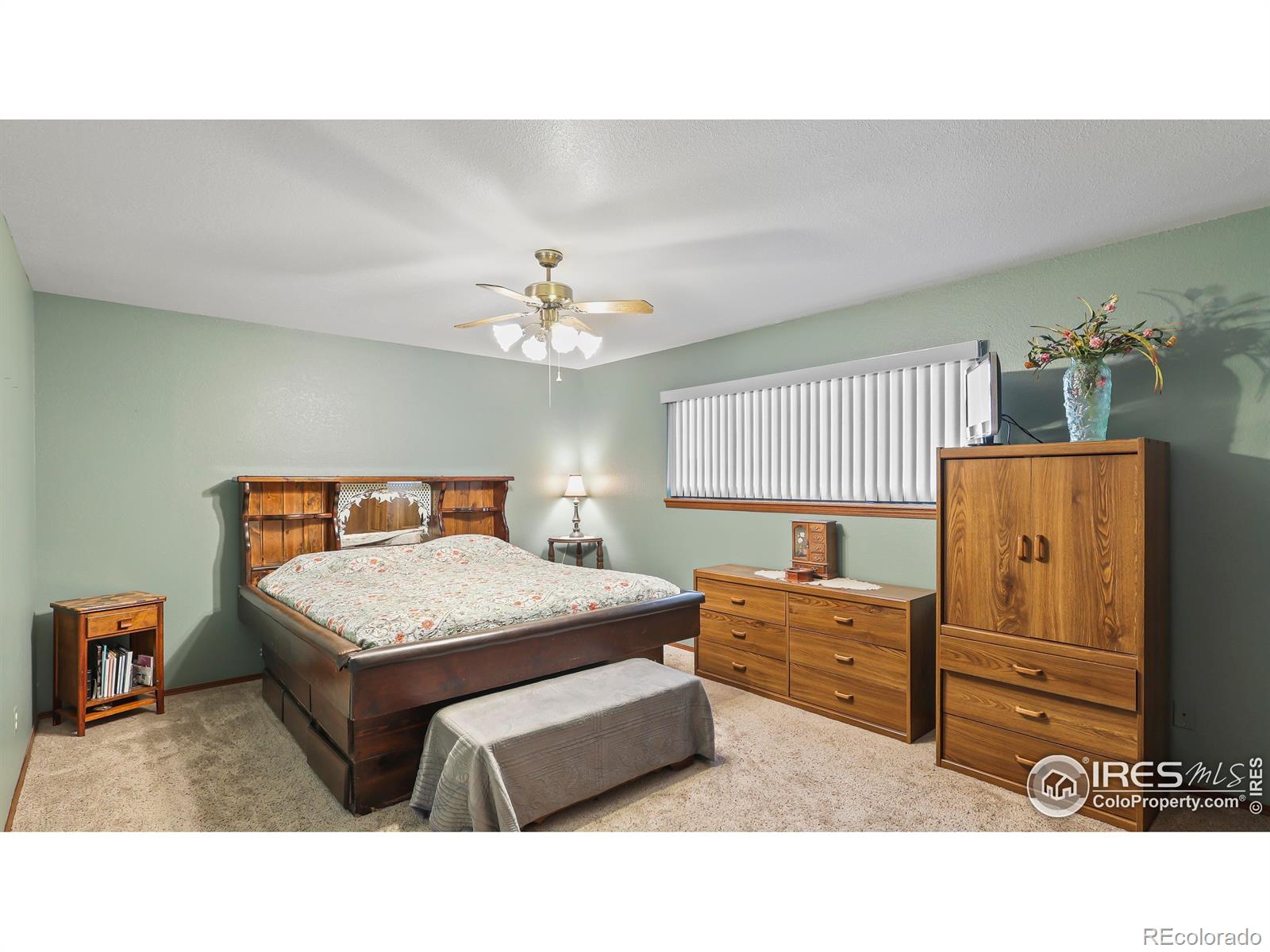 MLS Image #11 for 314  becky street,wiggins, Colorado