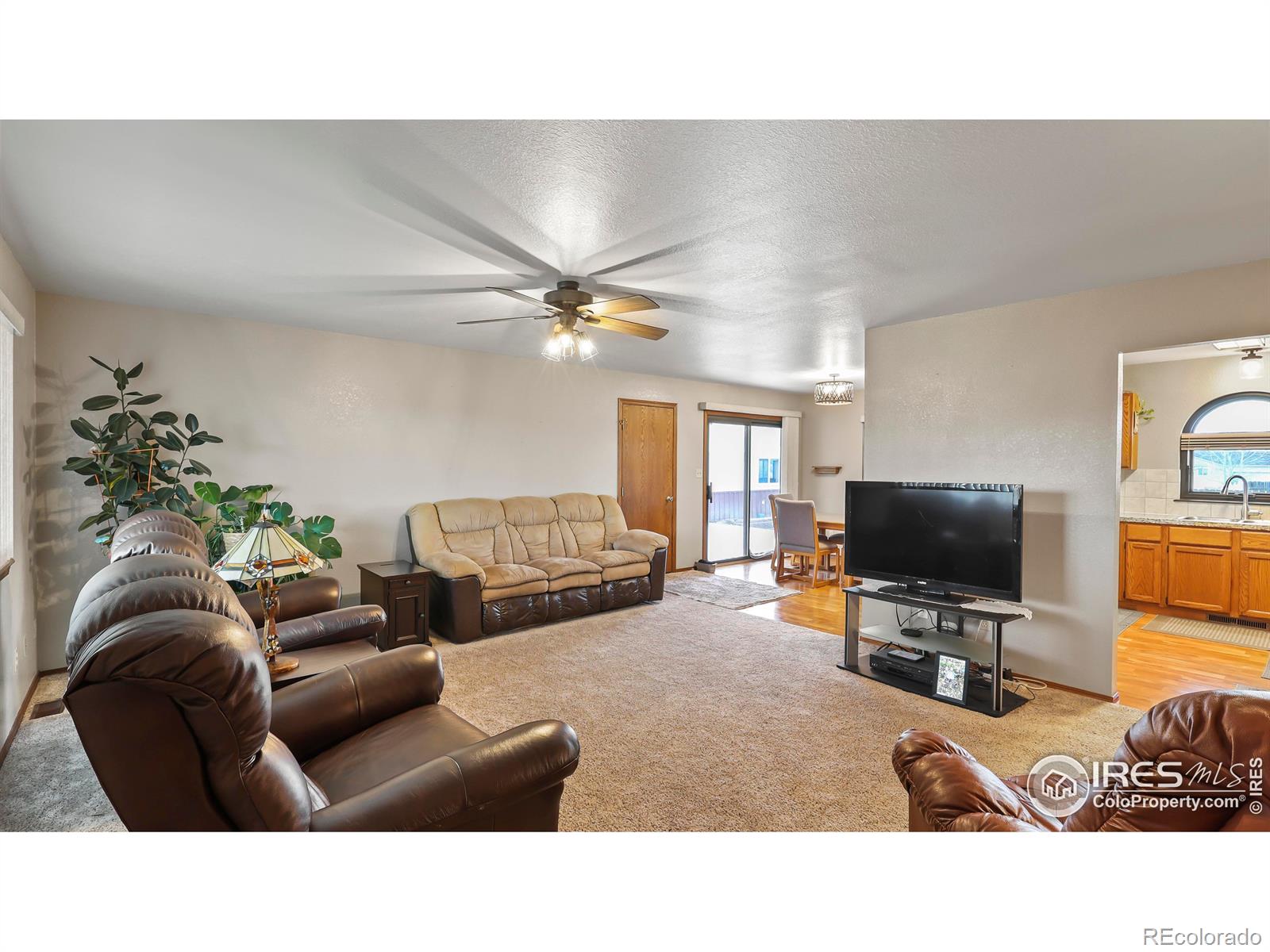 MLS Image #6 for 314  becky street,wiggins, Colorado