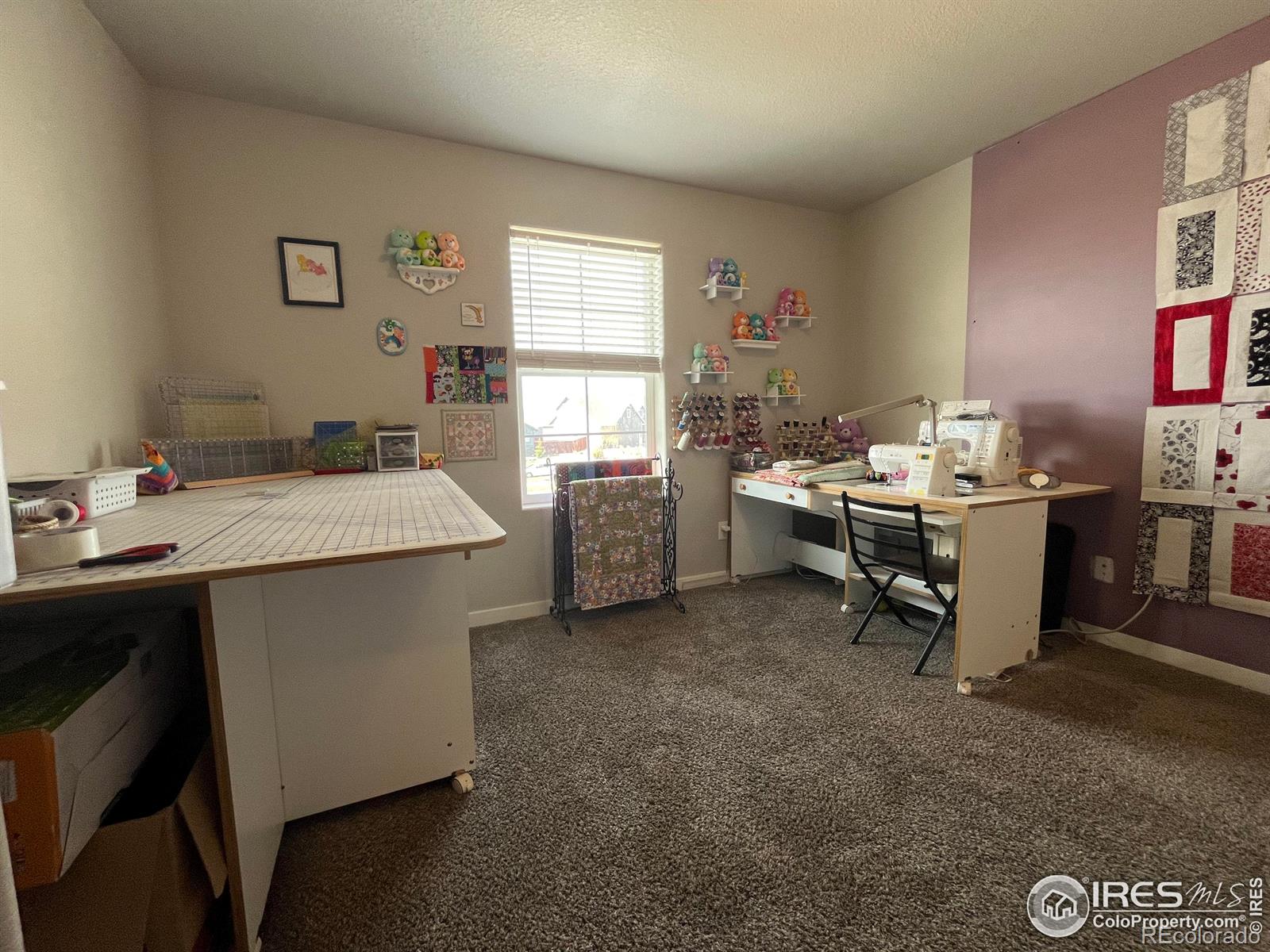 MLS Image #16 for 2065  covered bridge parkway,windsor, Colorado