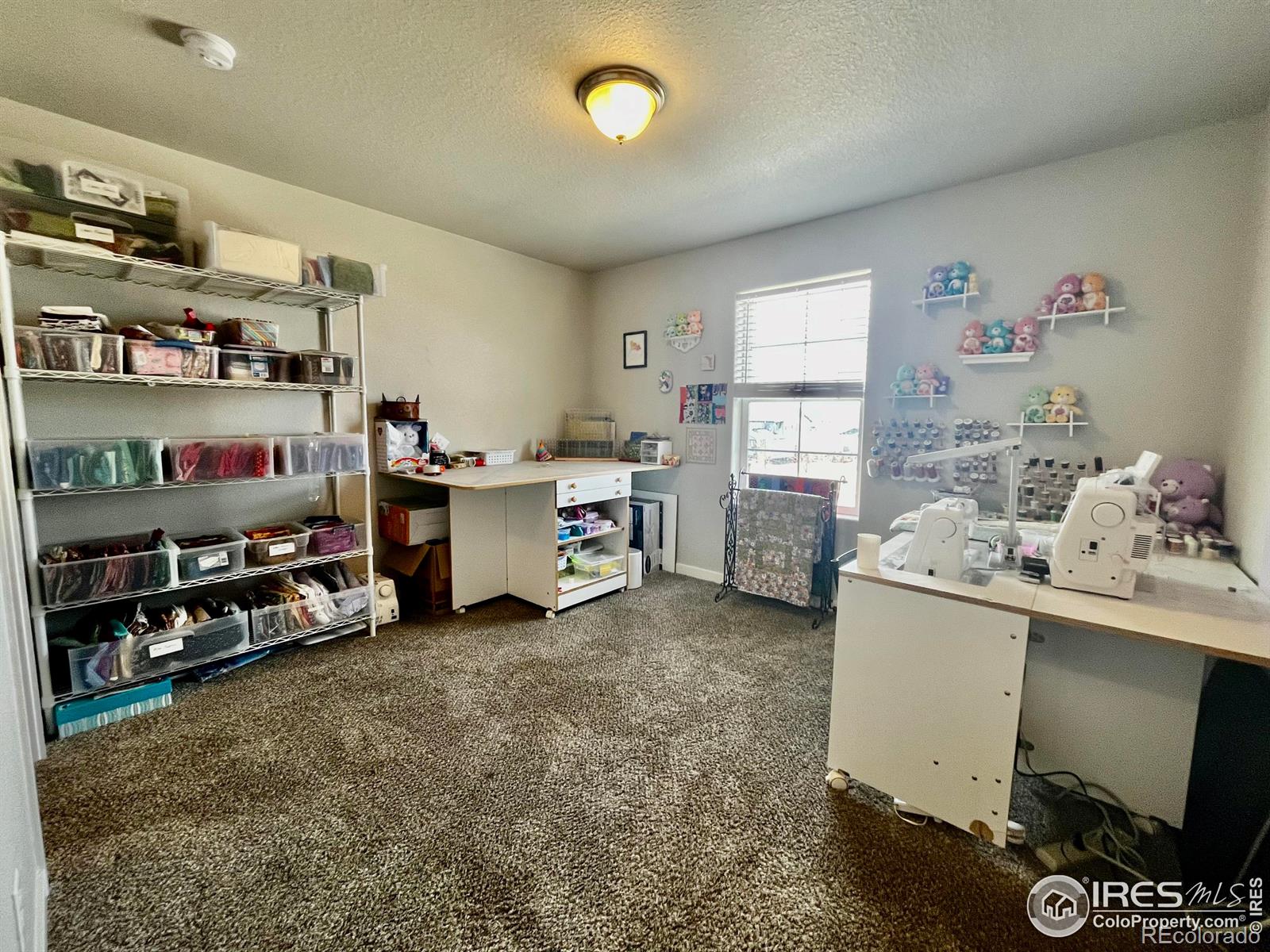 MLS Image #17 for 2065  covered bridge parkway,windsor, Colorado