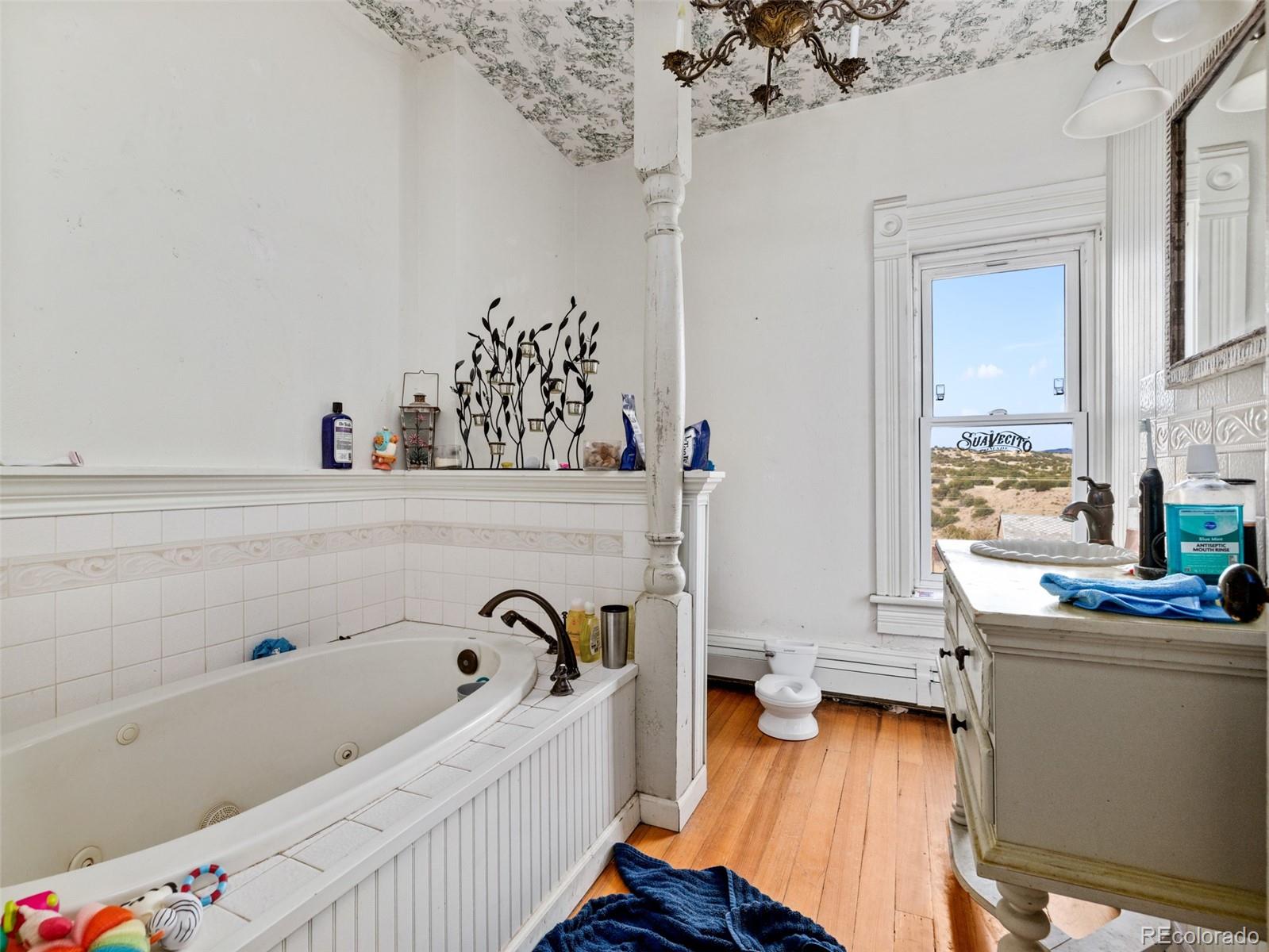 MLS Image #10 for 310  county road 11a ,florence, Colorado