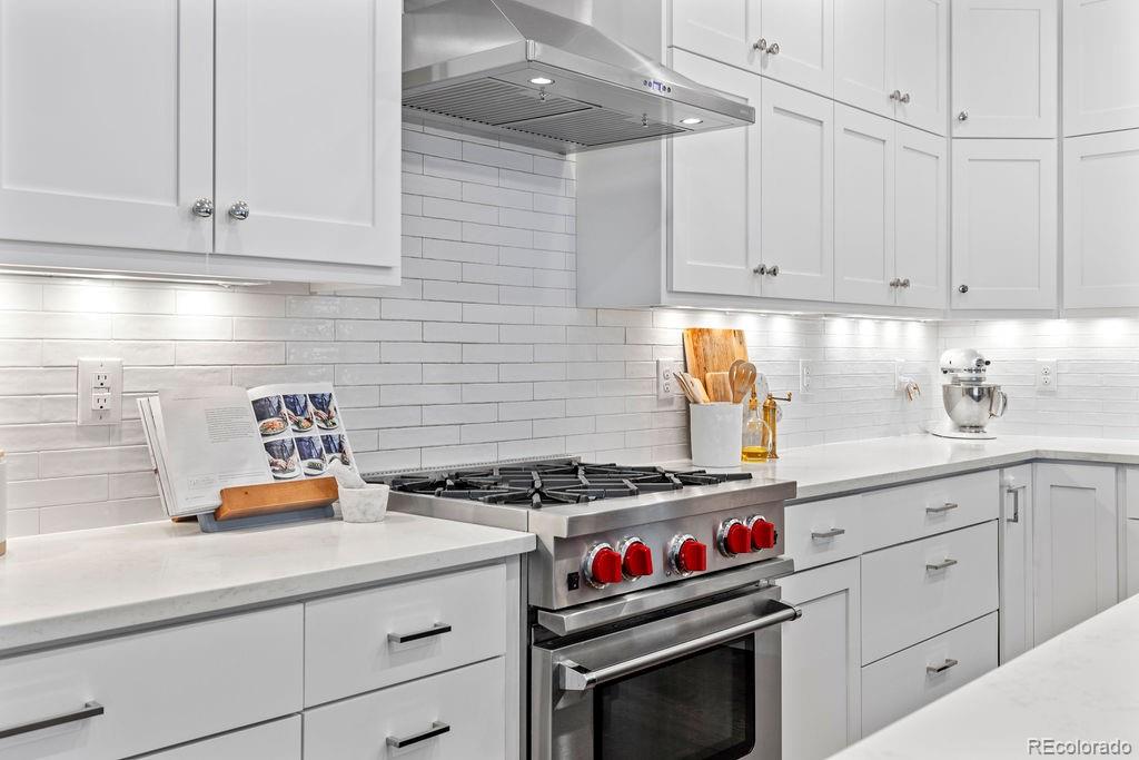 MLS Image #14 for 1243  elm street,denver, Colorado