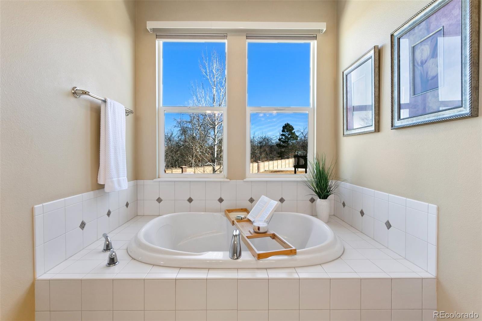 MLS Image #14 for 10724  black elk way,colorado springs, Colorado