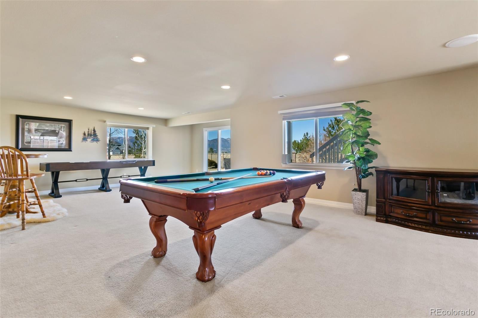 MLS Image #16 for 10724  black elk way,colorado springs, Colorado