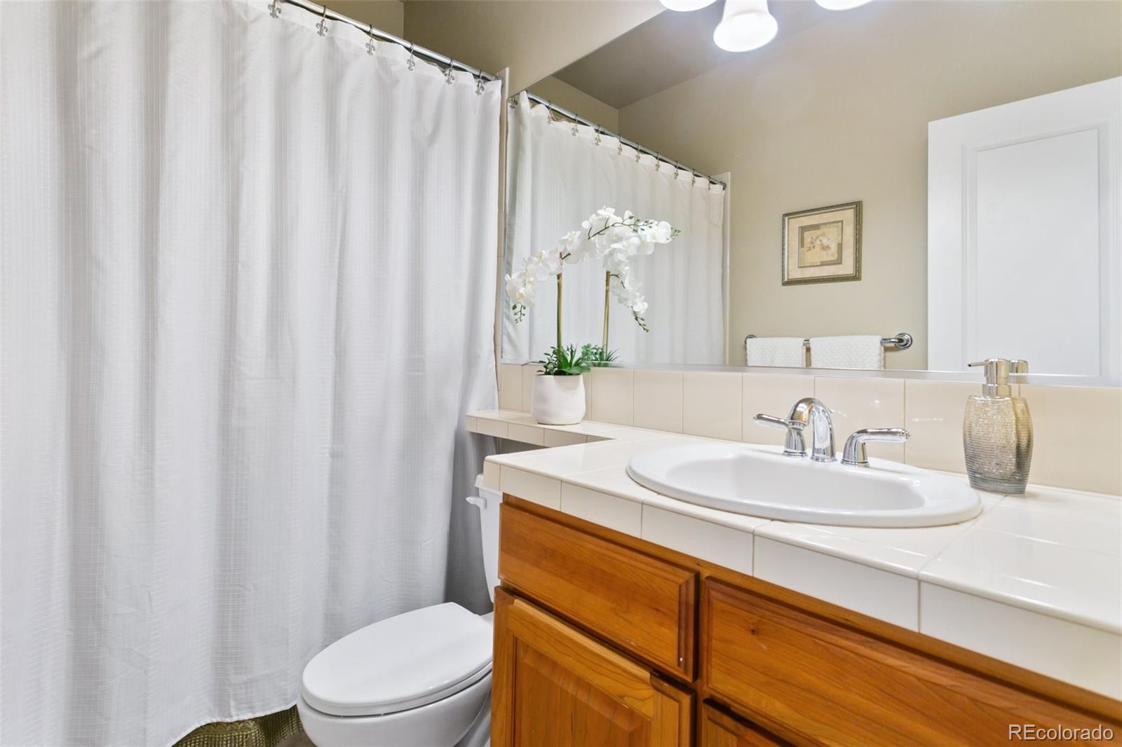 MLS Image #24 for 10724  black elk way,colorado springs, Colorado