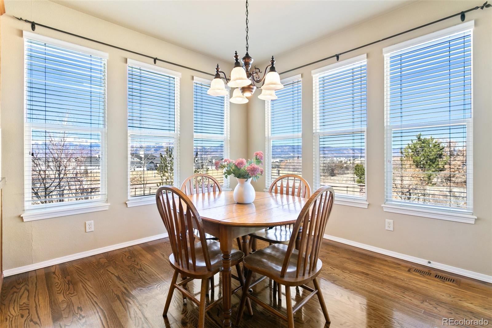 MLS Image #5 for 10724  black elk way,colorado springs, Colorado
