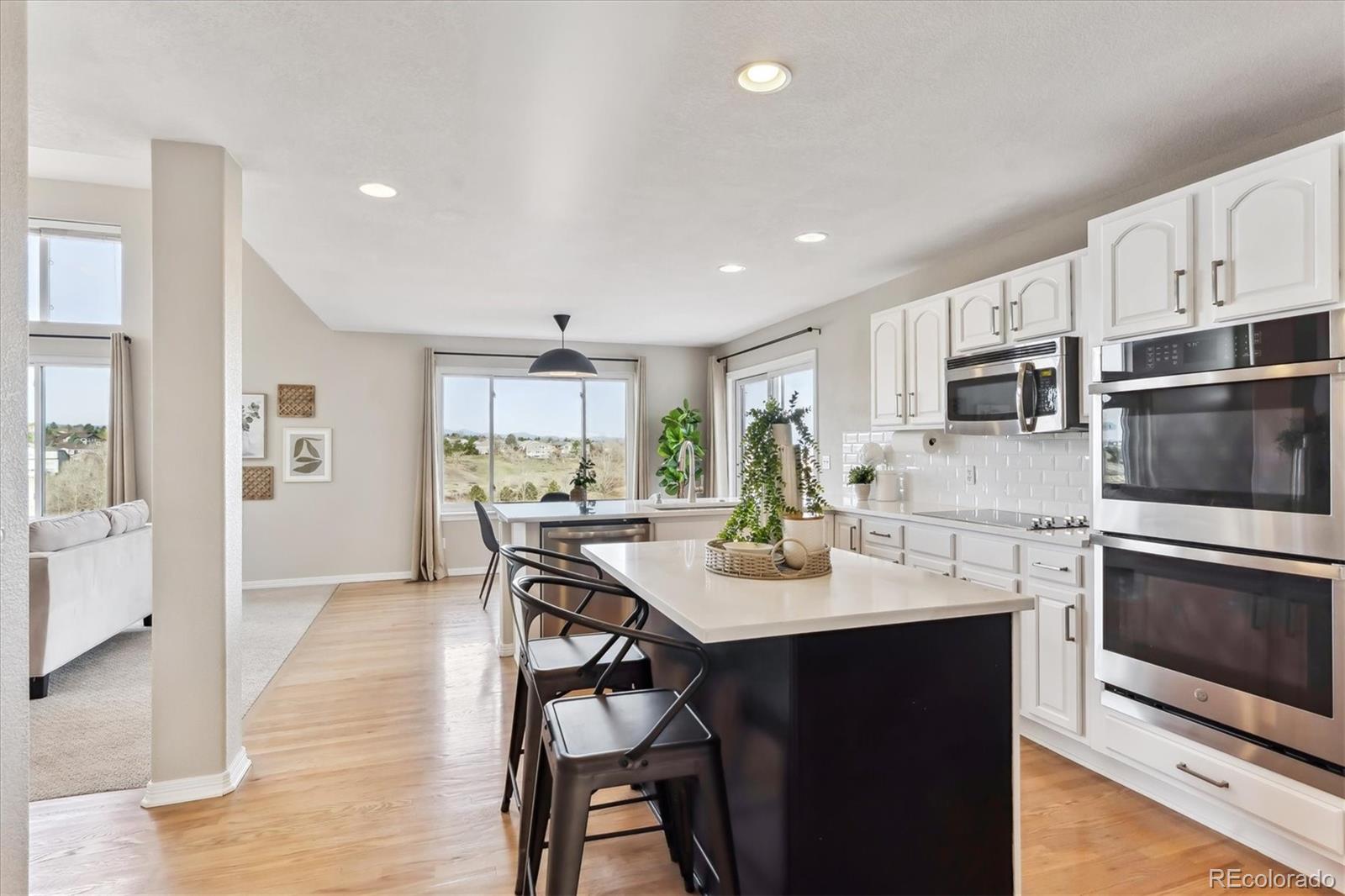 MLS Image #6 for 9957  candlewood lane,highlands ranch, Colorado