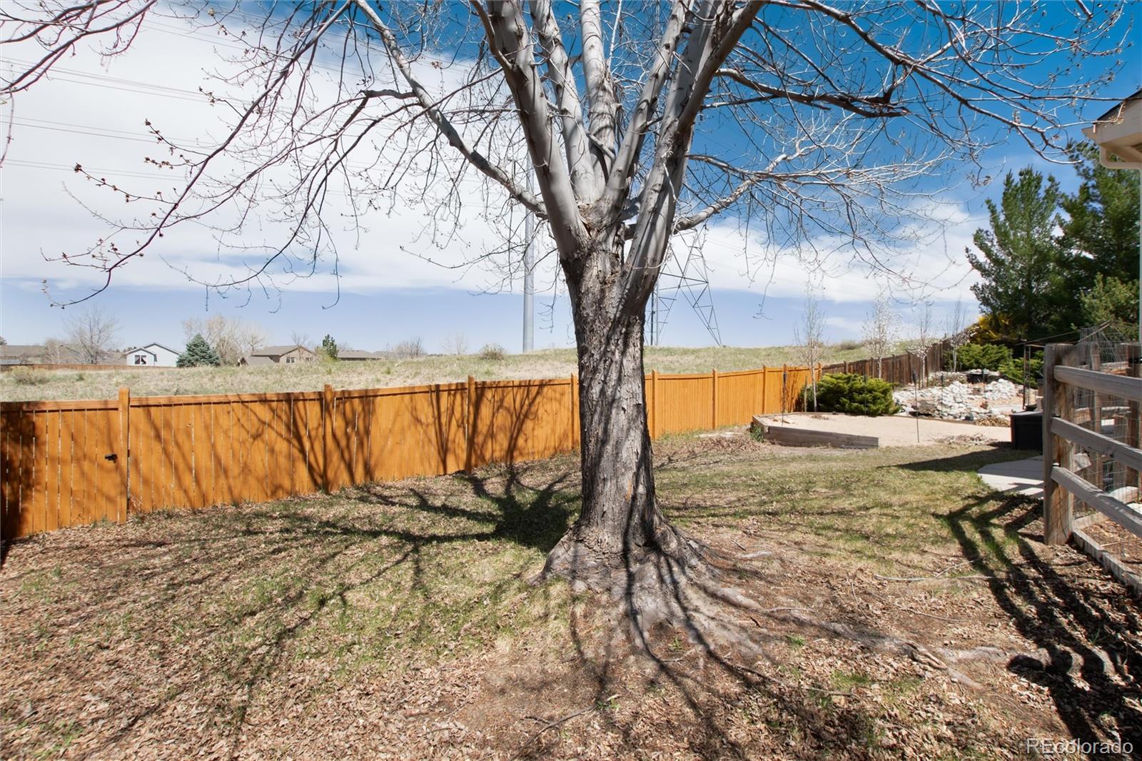 MLS Image #36 for 11302  mesa verde place,parker, Colorado