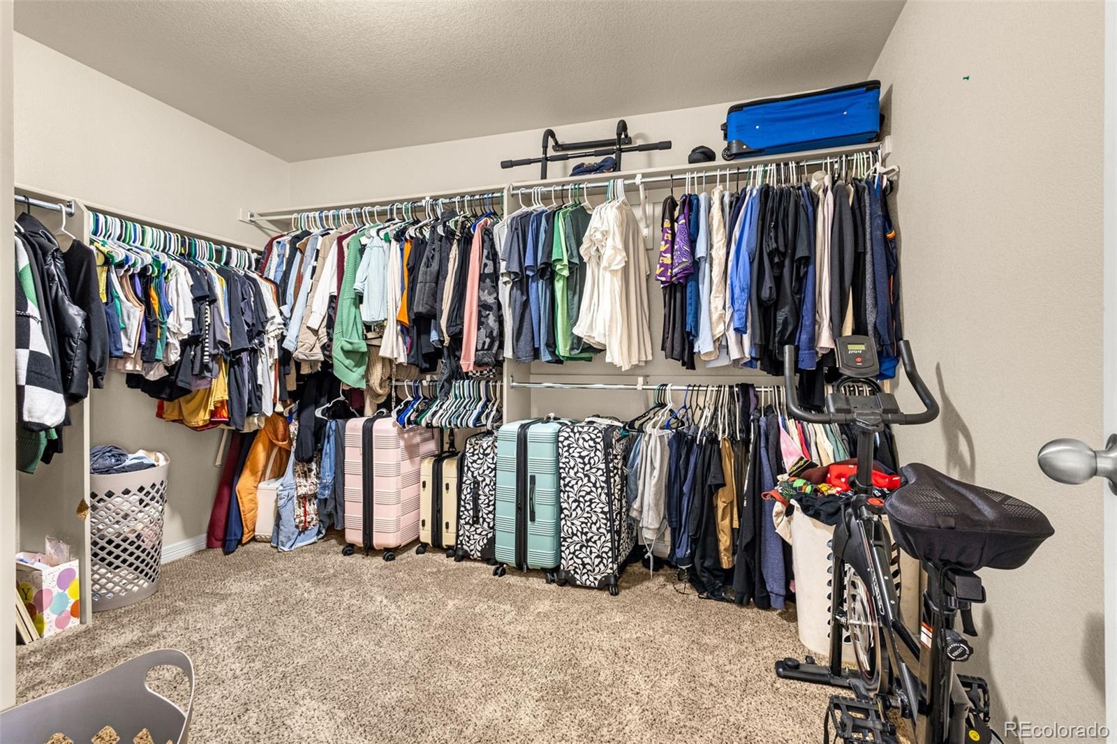 MLS Image #15 for 1974  reed grass way,colorado springs, Colorado