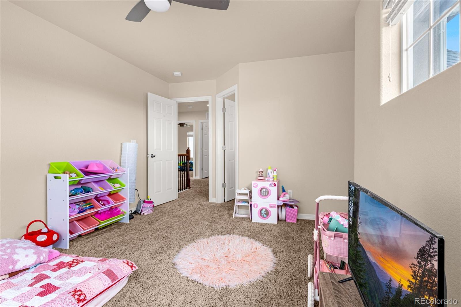 MLS Image #19 for 1974  reed grass way,colorado springs, Colorado