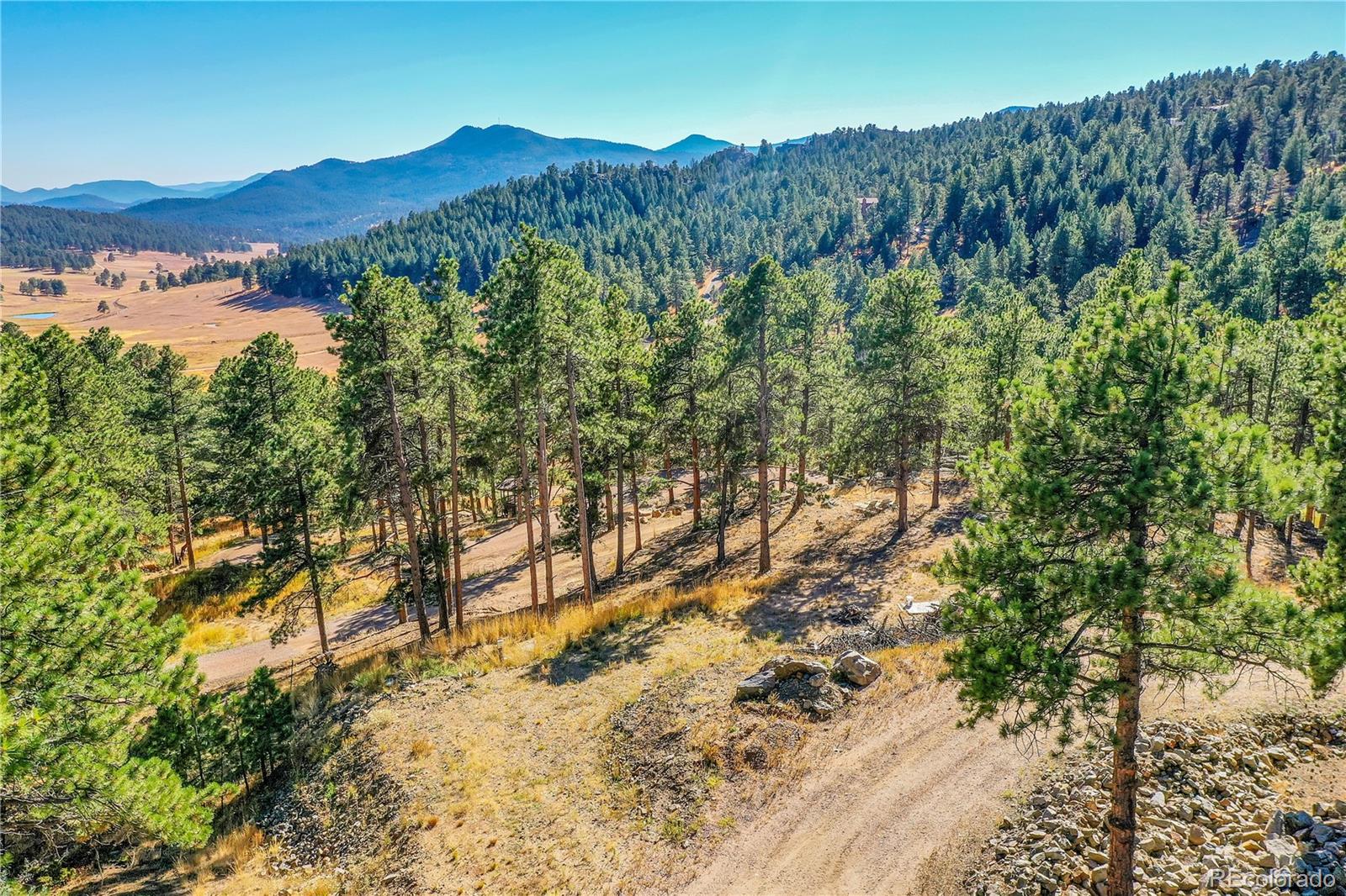 MLS Image #4 for 24929 n mountain park drive,evergreen, Colorado