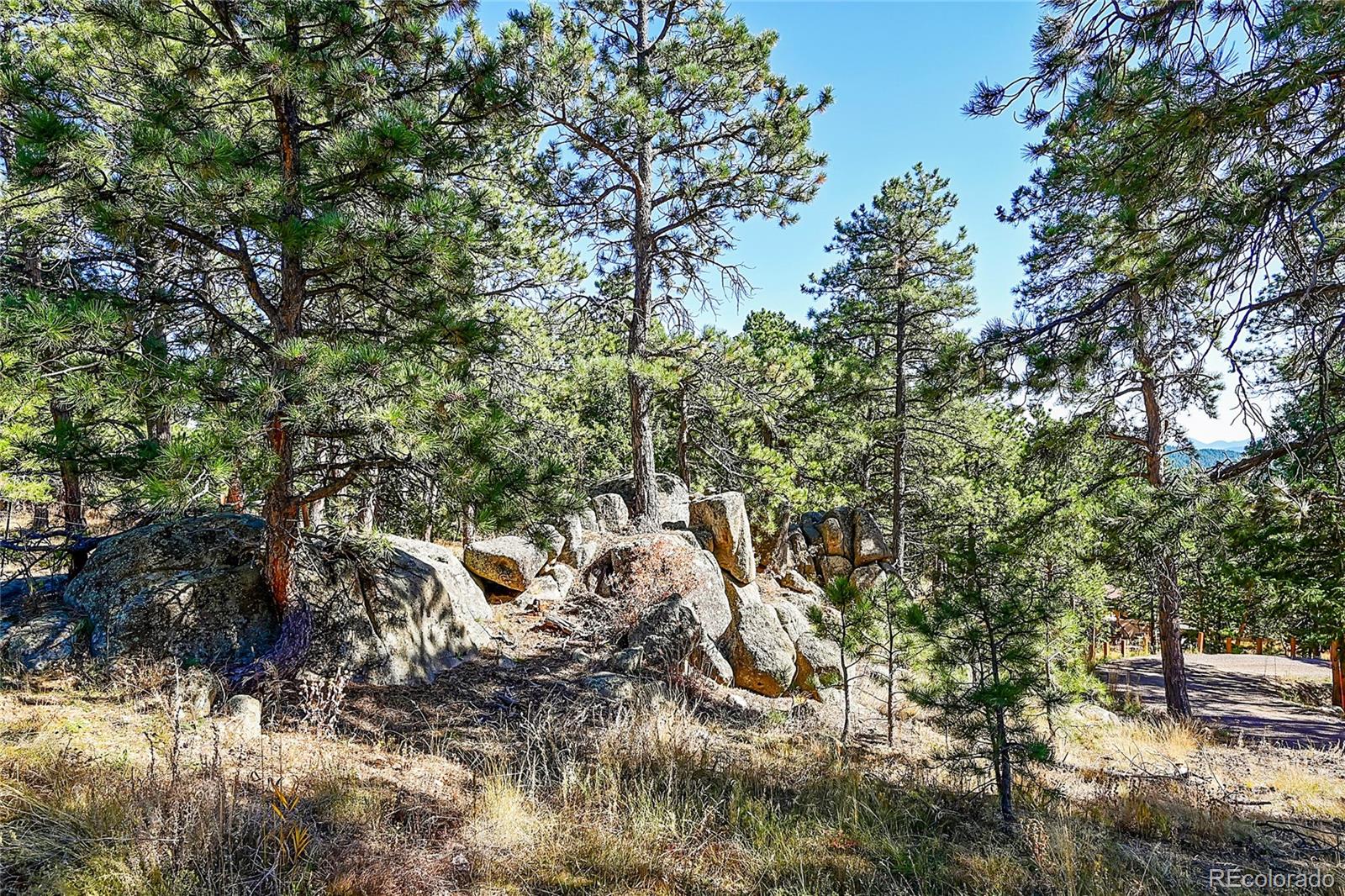 MLS Image #41 for 24929 n mountain park drive,evergreen, Colorado
