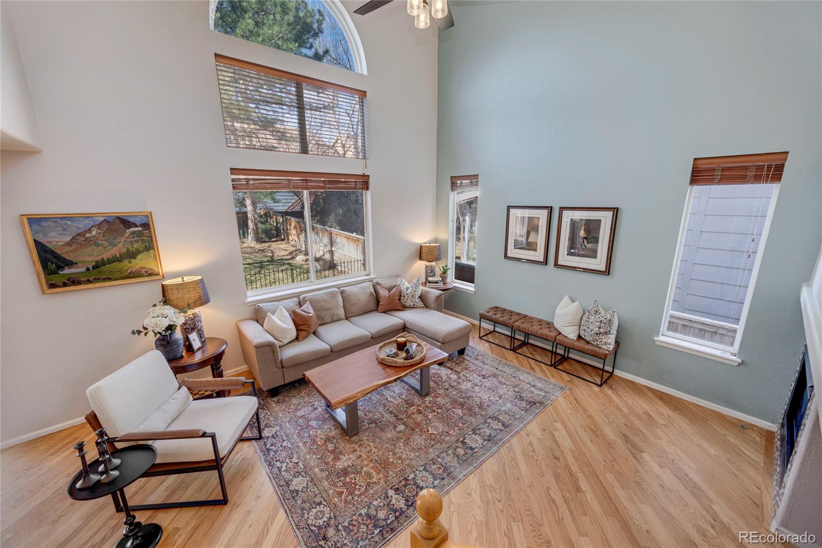 MLS Image #10 for 468  sylvestor trail,highlands ranch, Colorado