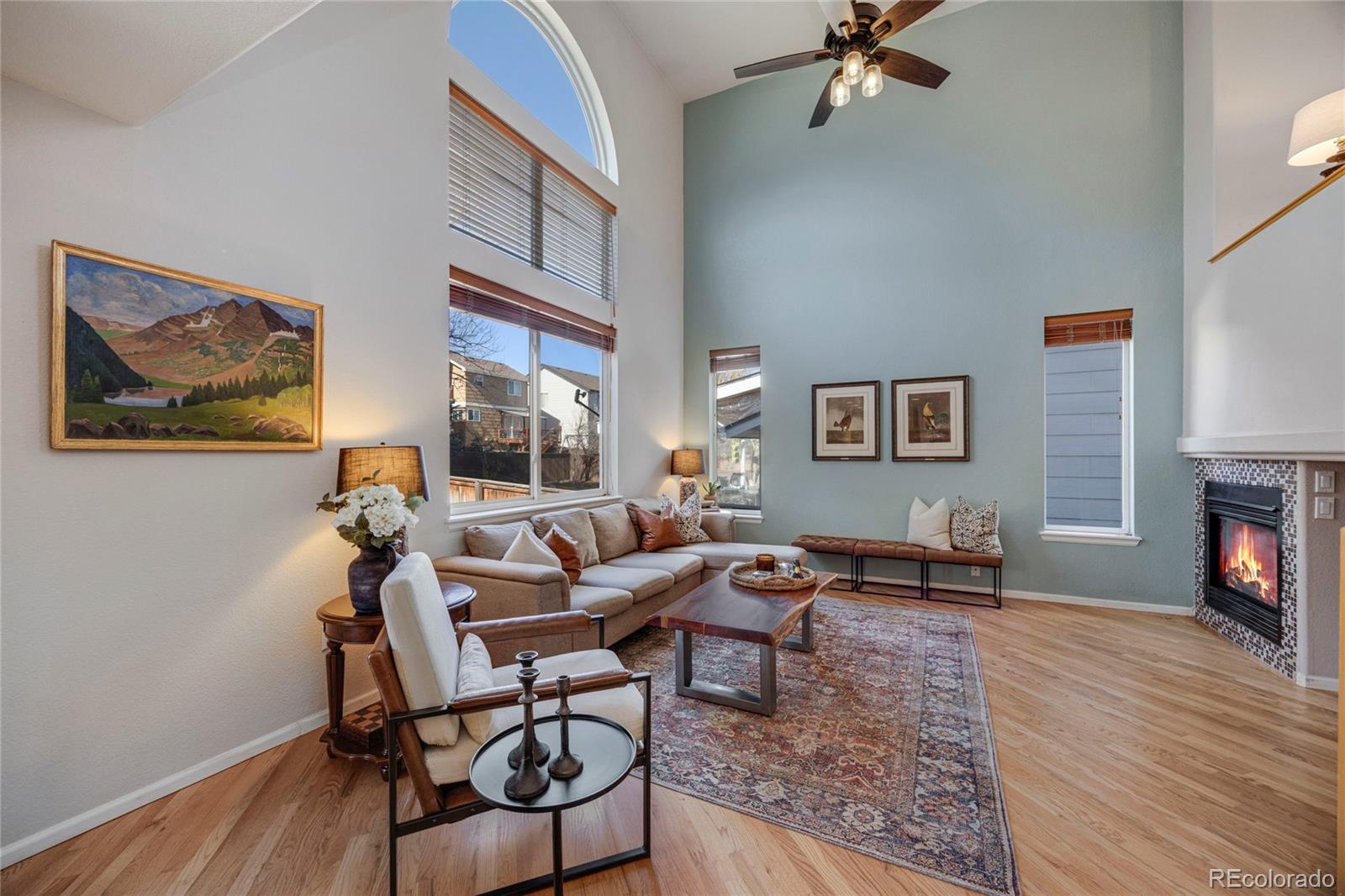 MLS Image #14 for 468  sylvestor trail,highlands ranch, Colorado