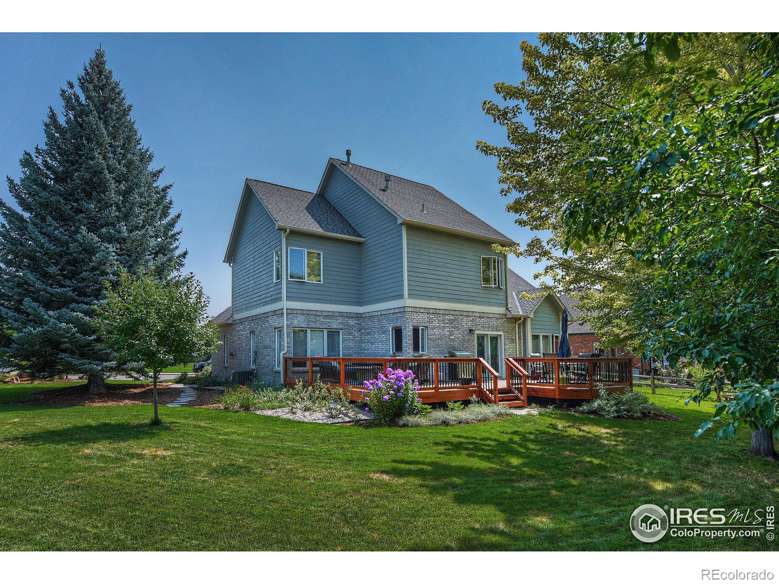 MLS Image #4 for 2173  sand dollar drive,longmont, Colorado