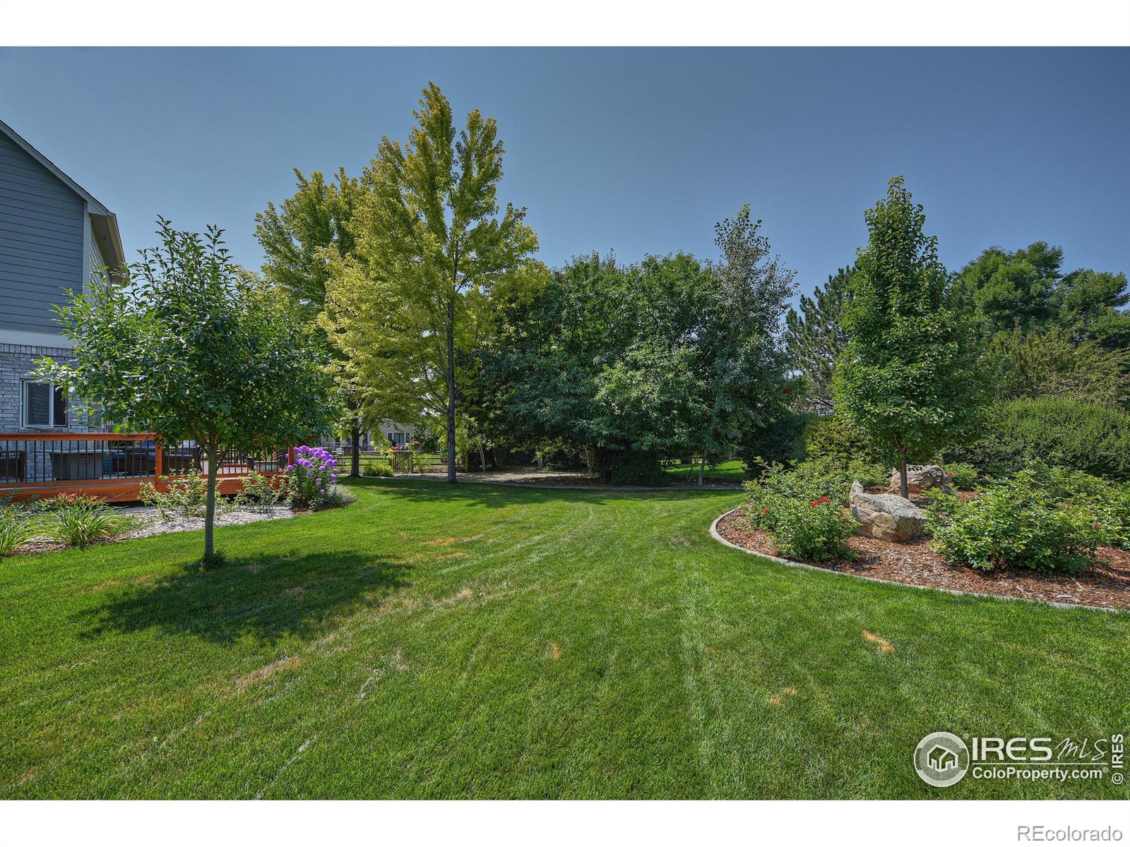 MLS Image #5 for 2173  sand dollar drive,longmont, Colorado