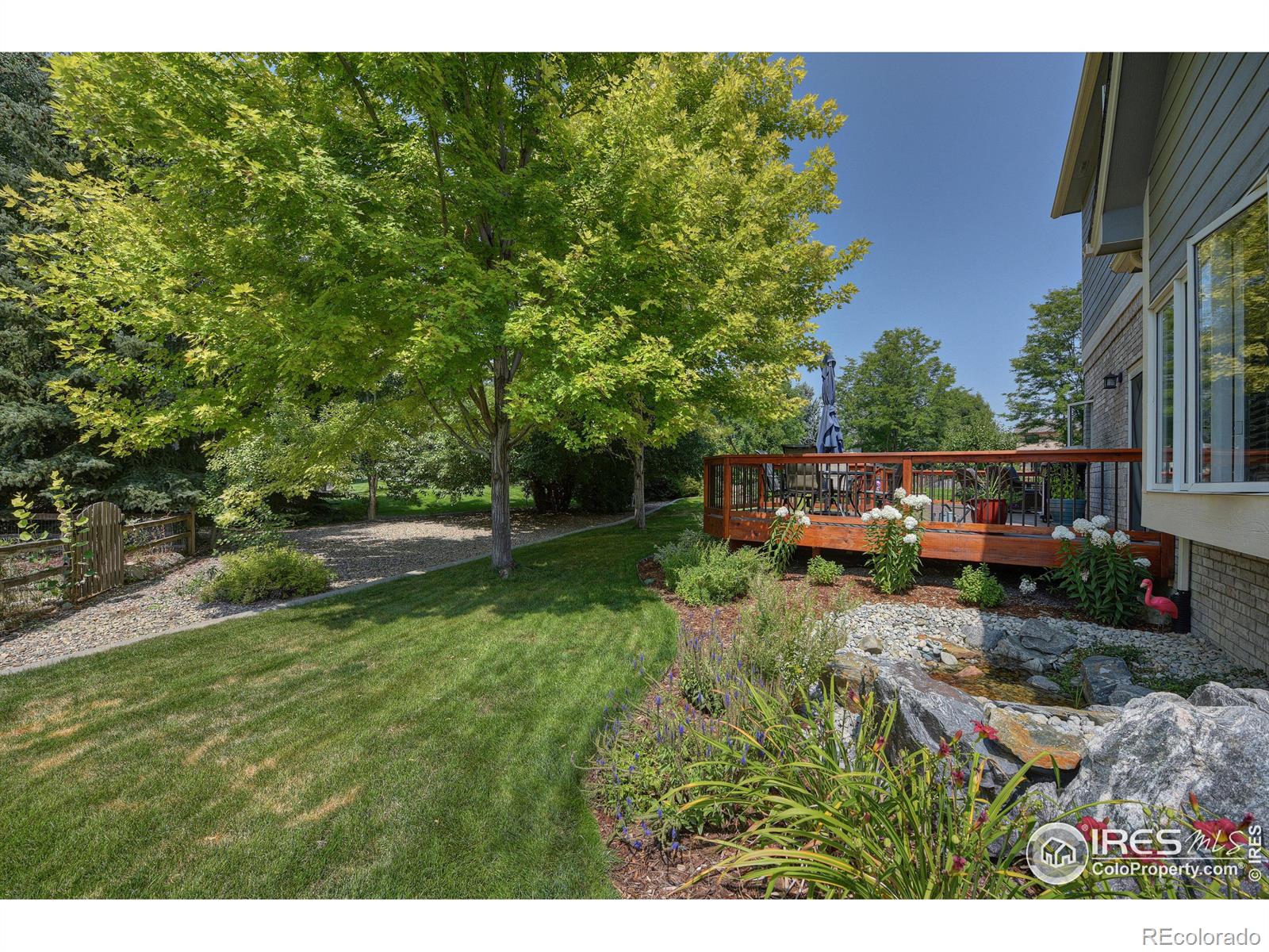 MLS Image #6 for 2173  sand dollar drive,longmont, Colorado