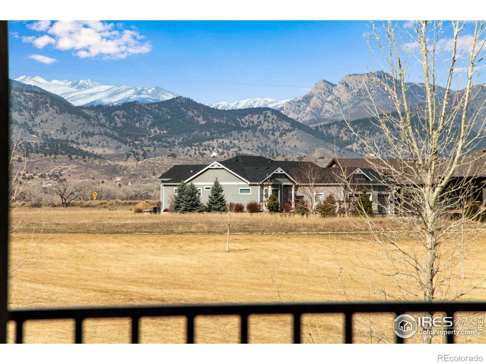 MLS Image #14 for 3577  peruvian torch drive,loveland, Colorado