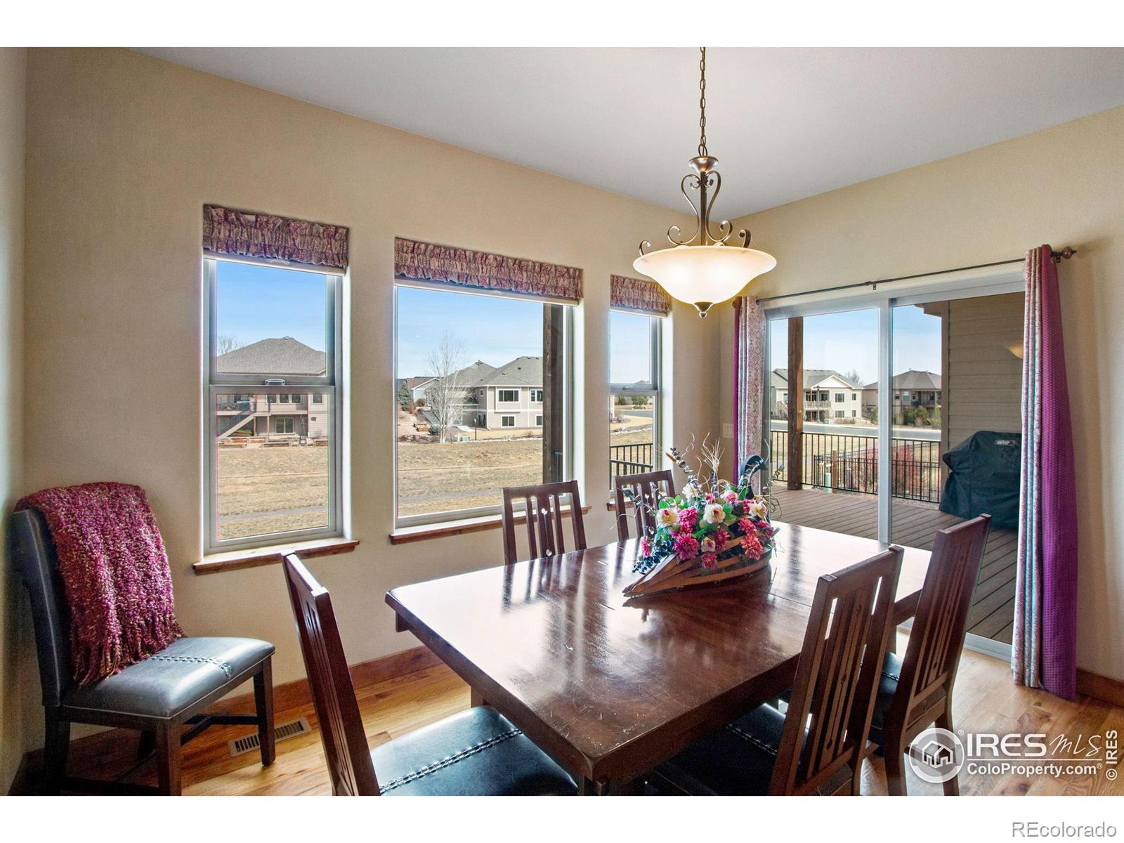 MLS Image #21 for 3577  peruvian torch drive,loveland, Colorado