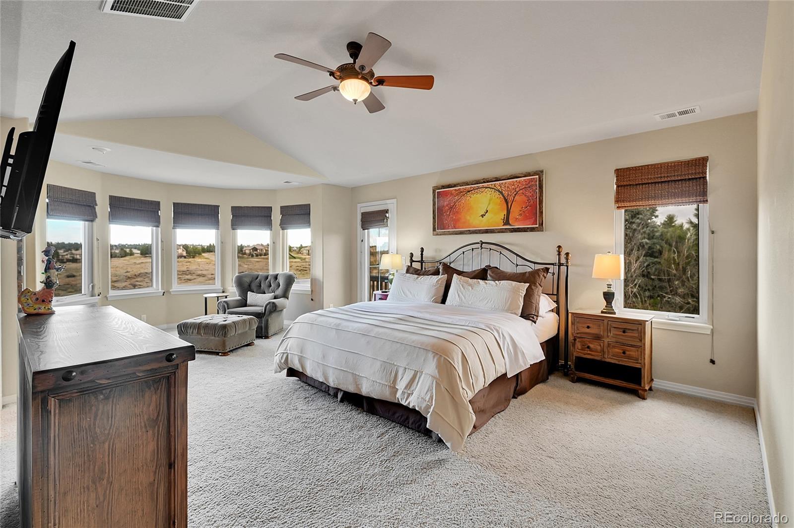 MLS Image #22 for 9668  paperflower drive,parker, Colorado