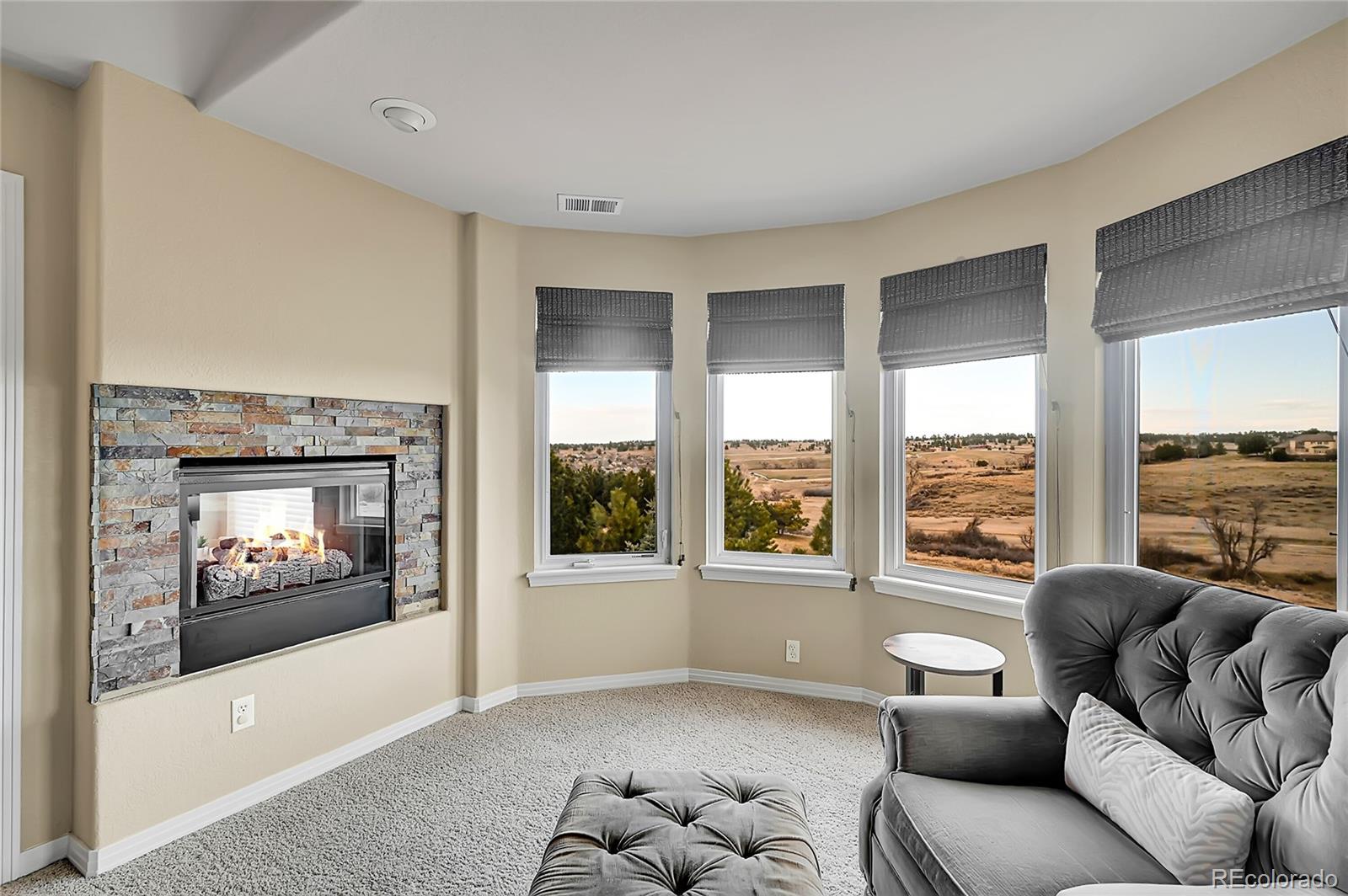 MLS Image #24 for 9668  paperflower drive,parker, Colorado
