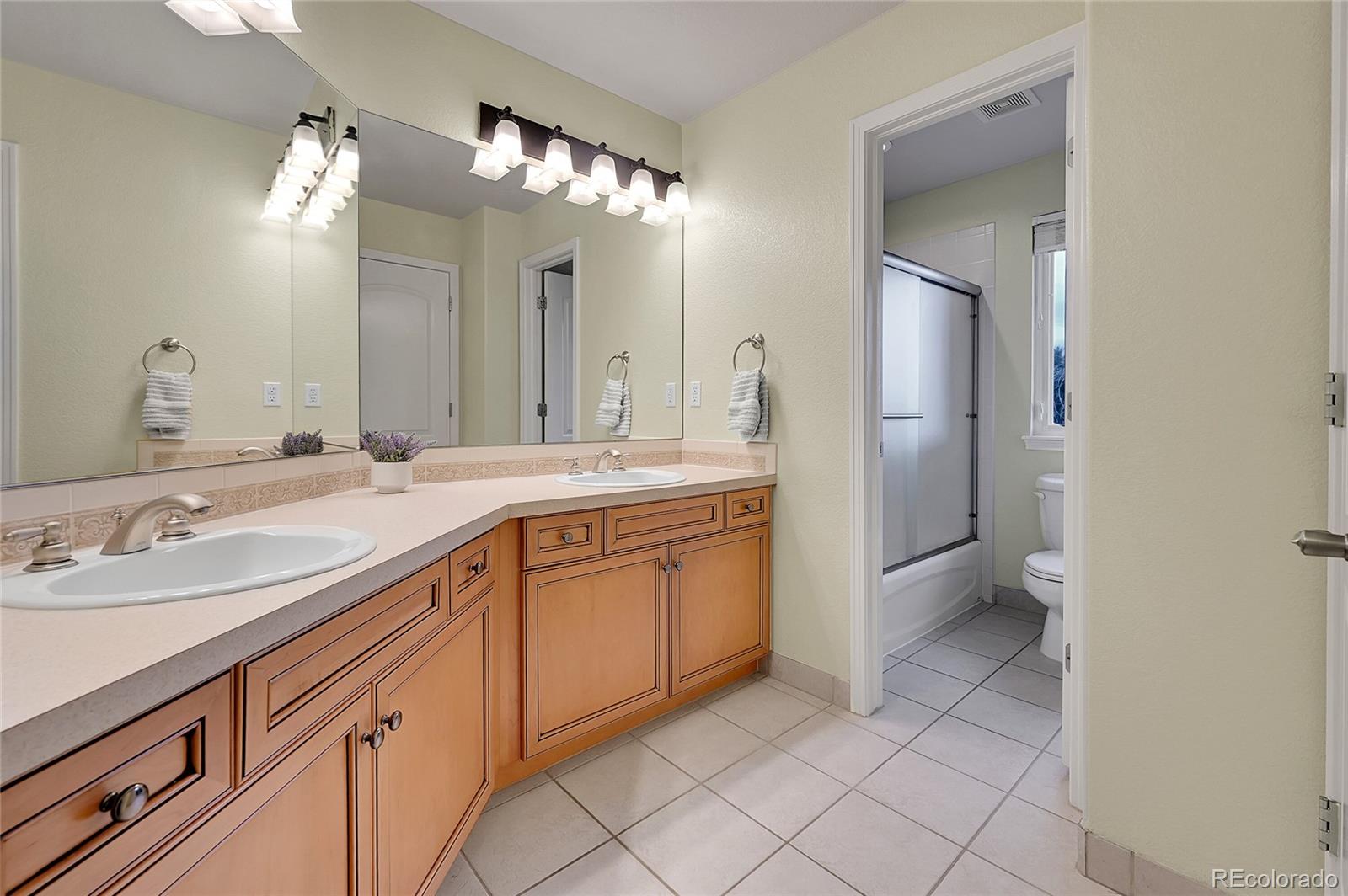 MLS Image #27 for 9668  paperflower drive,parker, Colorado