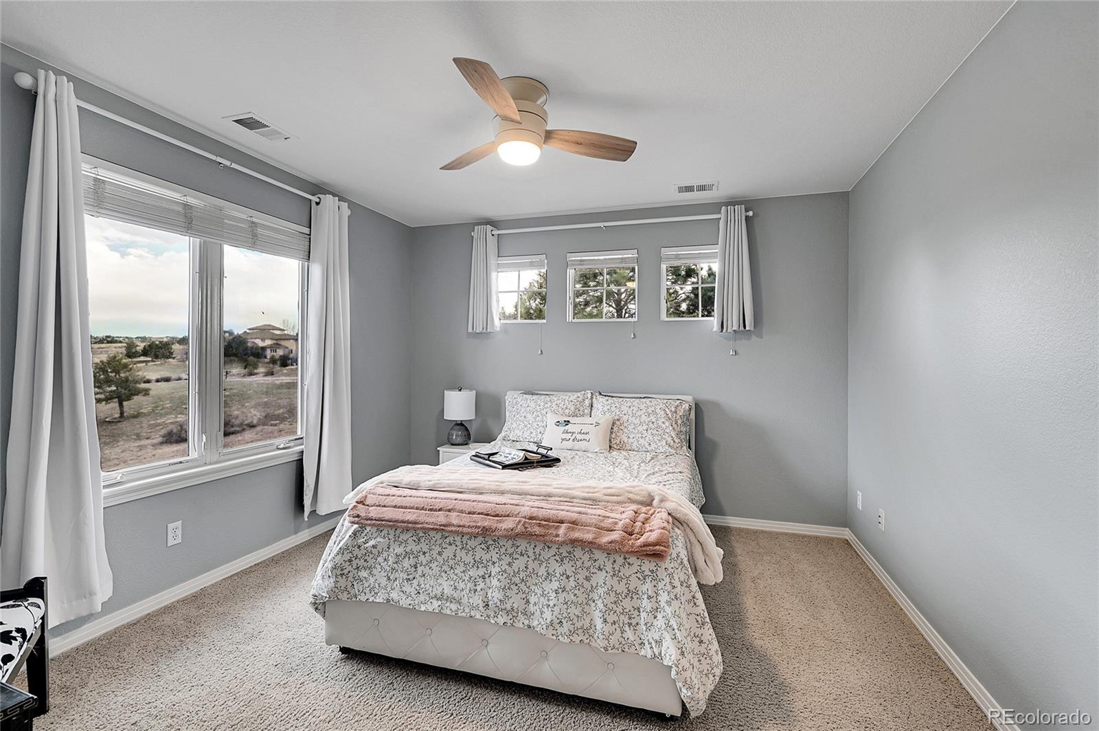MLS Image #28 for 9668  paperflower drive,parker, Colorado