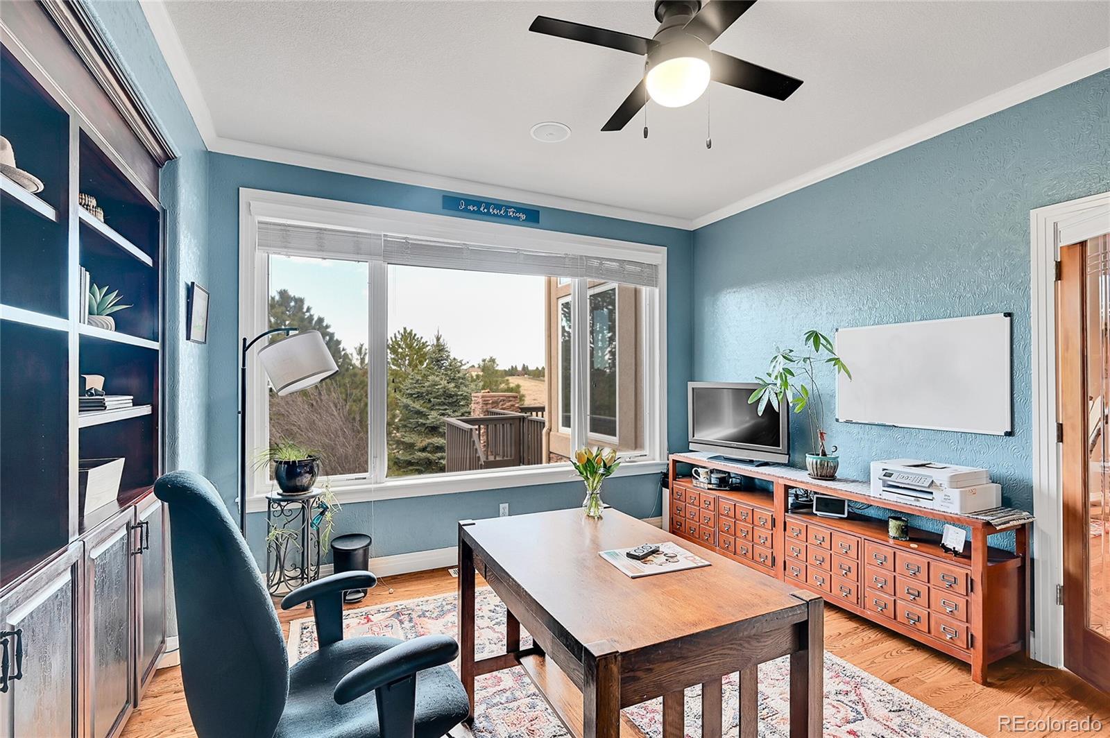 MLS Image #8 for 9668  paperflower drive,parker, Colorado