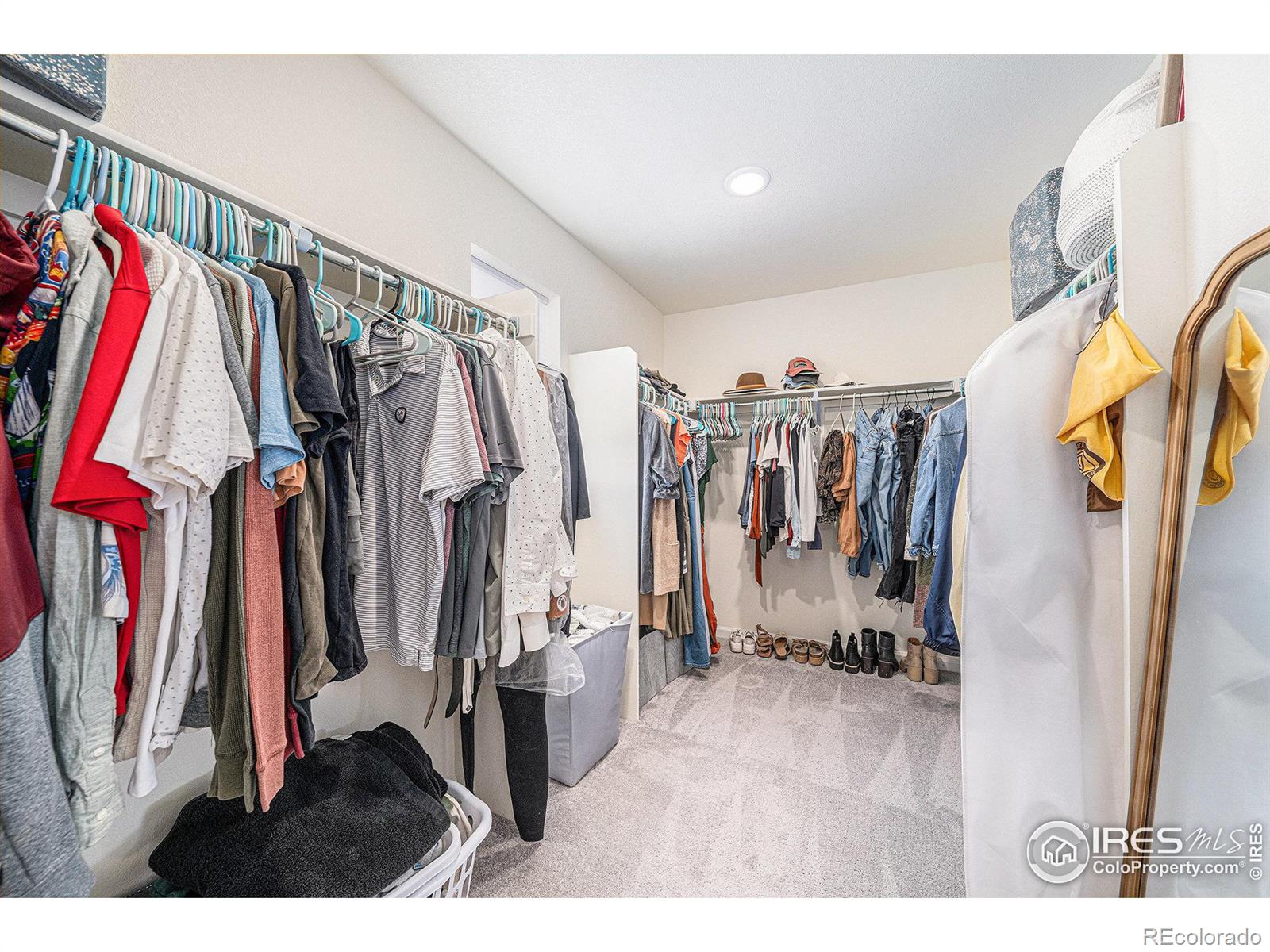 MLS Image #10 for 1168  hornet drive,fort collins, Colorado