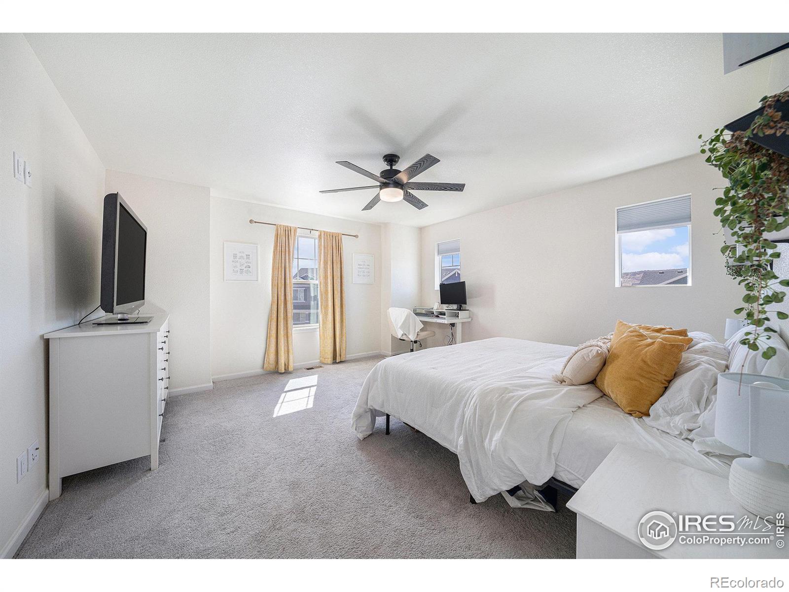 MLS Image #7 for 1168  hornet drive,fort collins, Colorado