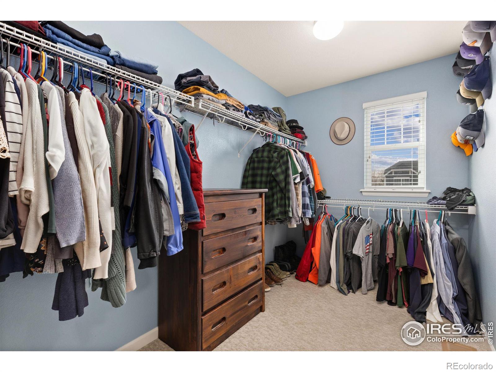 MLS Image #16 for 5941  oak meadows boulevard,firestone, Colorado