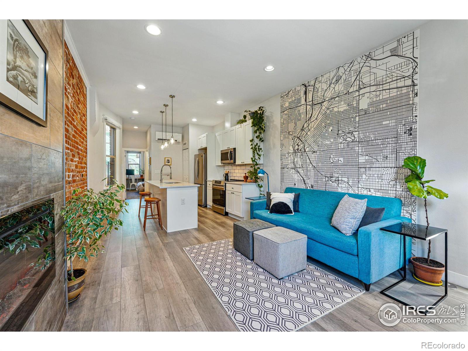 MLS Image #10 for 1733 e martin luther king jr boulevard ,denver, Colorado