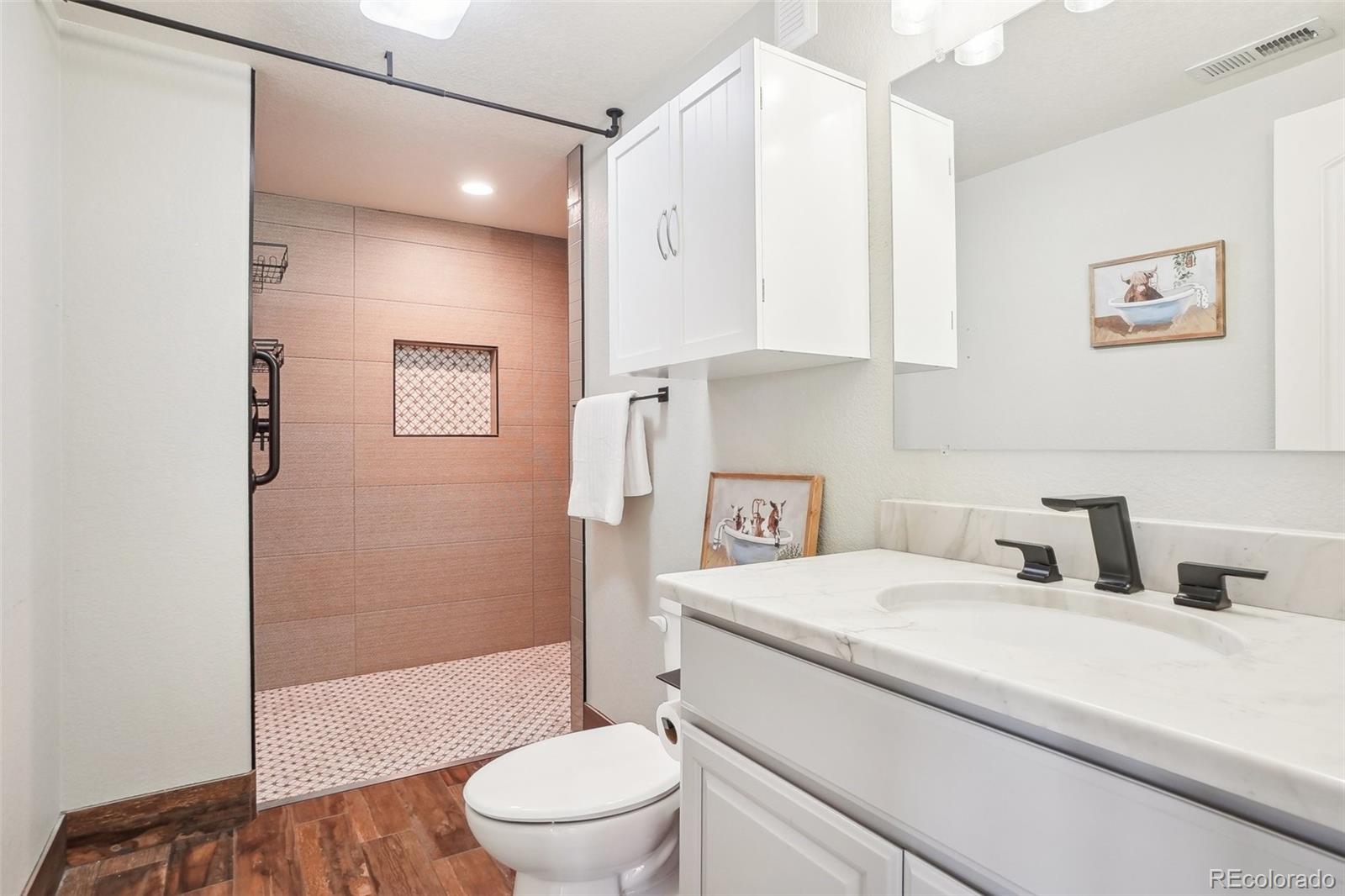MLS Image #22 for 311  portmeirion lane,castle rock, Colorado