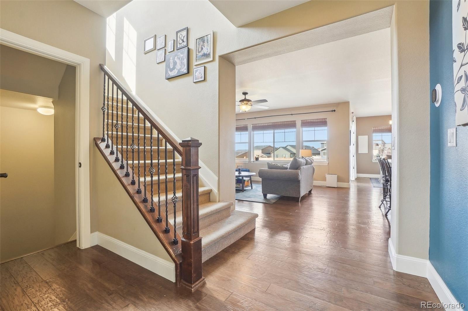 MLS Image #3 for 311  portmeirion lane,castle rock, Colorado