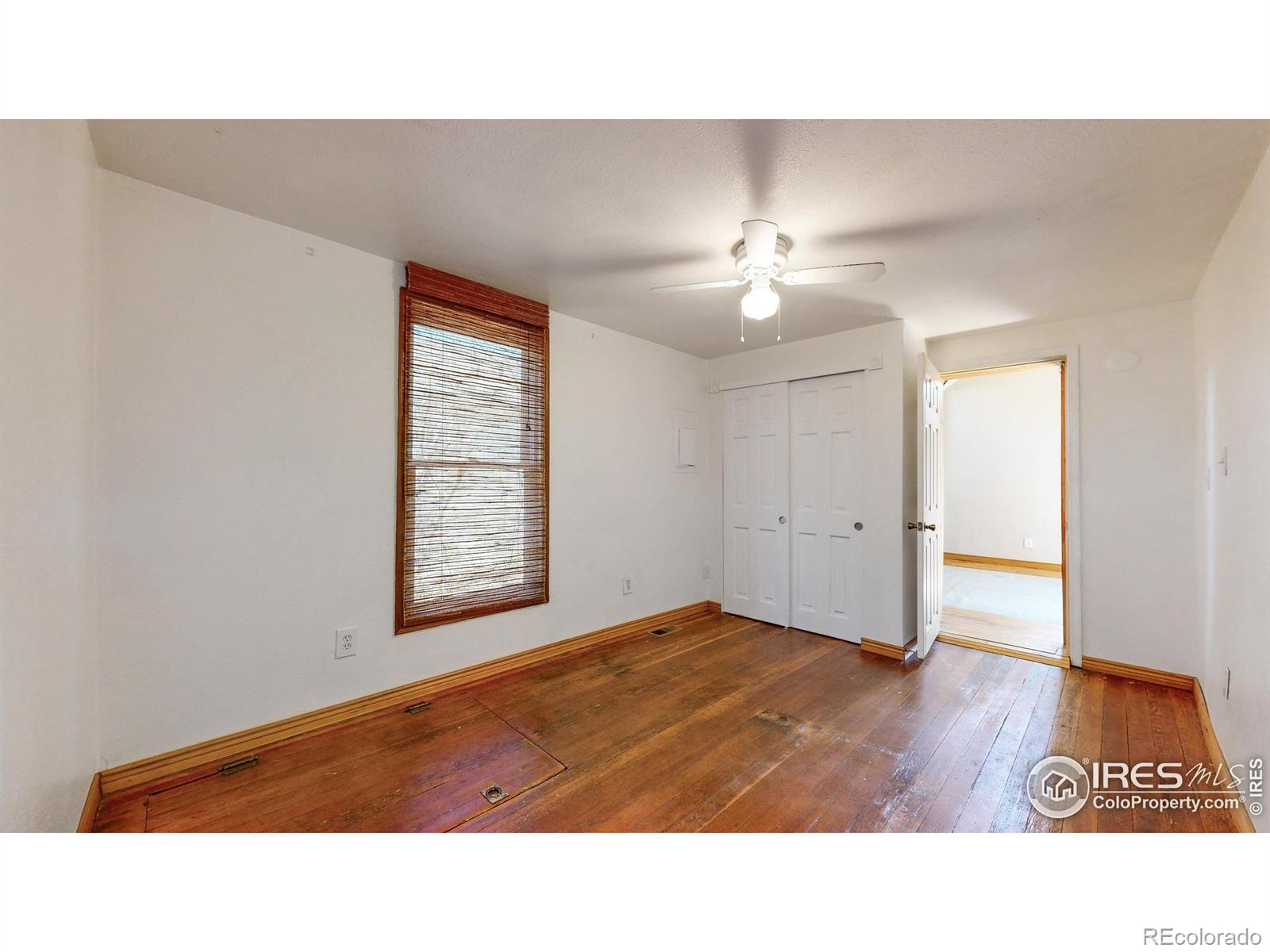 MLS Image #17 for 631  ash street,windsor, Colorado