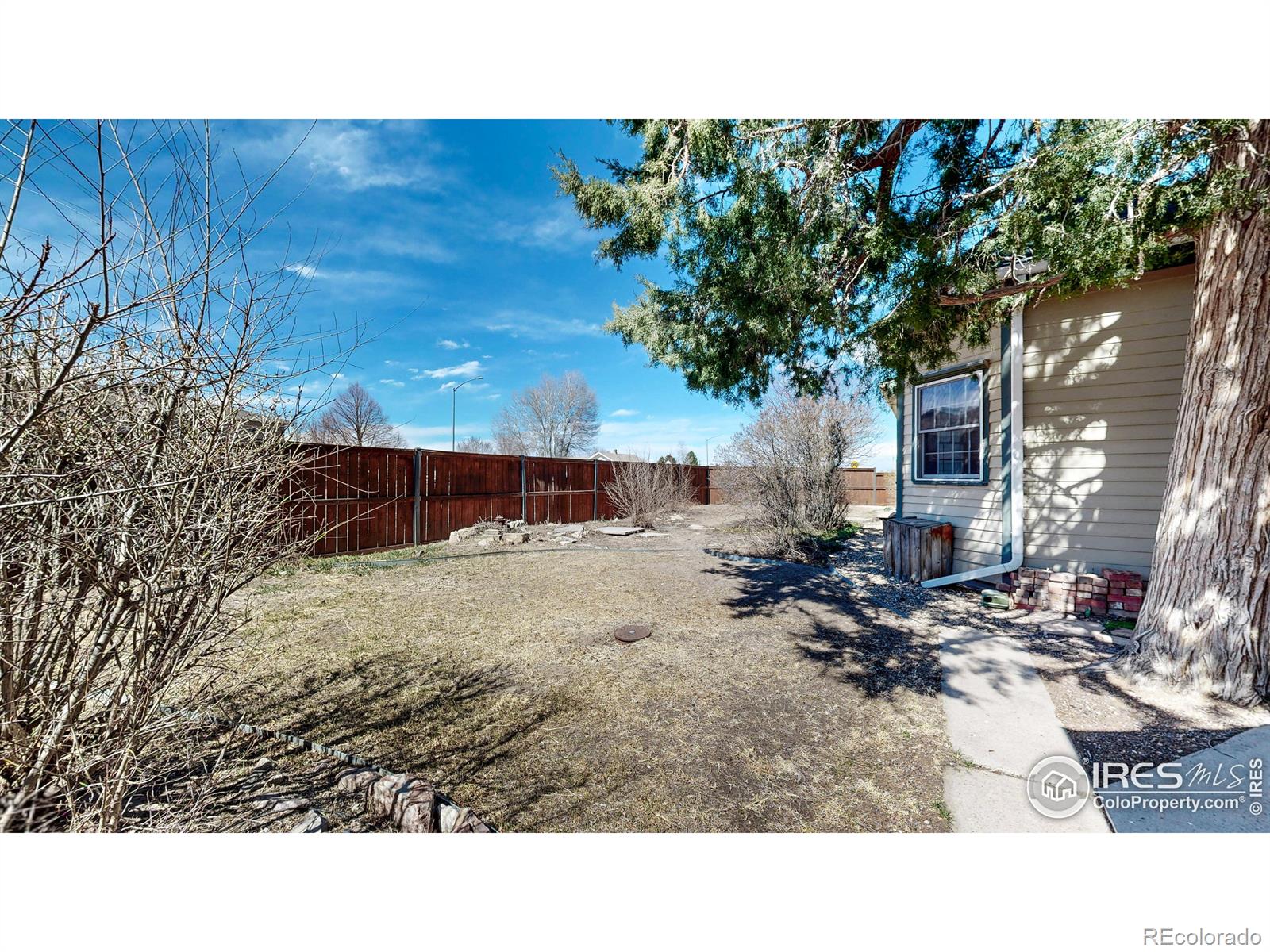 MLS Image #22 for 631  ash street,windsor, Colorado