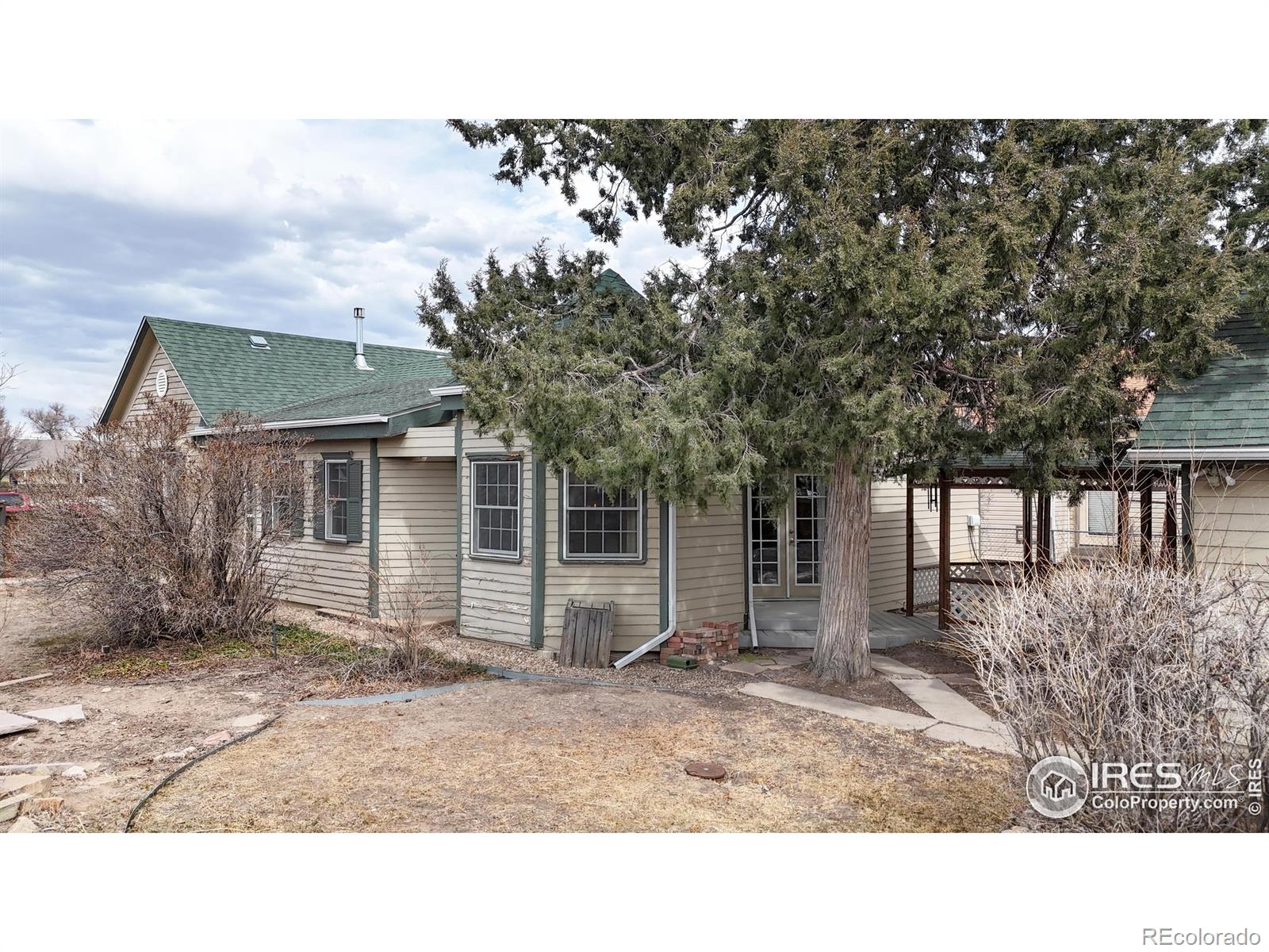 MLS Image #26 for 631  ash street,windsor, Colorado
