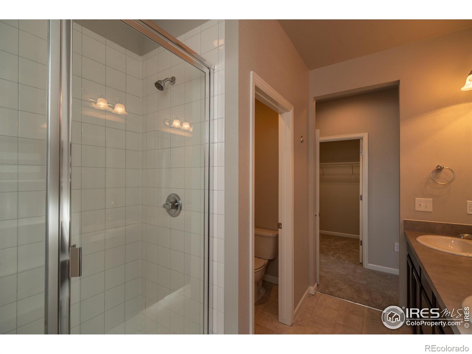 MLS Image #12 for 15325 w 93rd avenue,arvada, Colorado