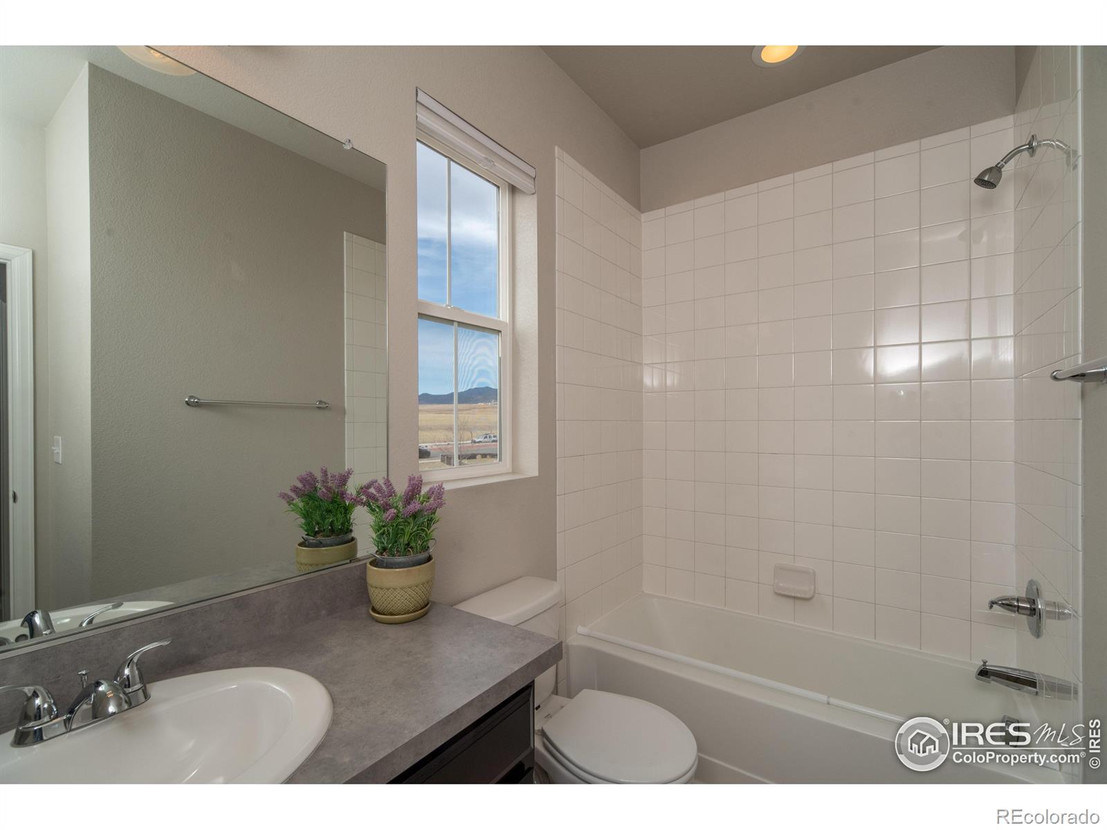 MLS Image #16 for 15325 w 93rd avenue,arvada, Colorado