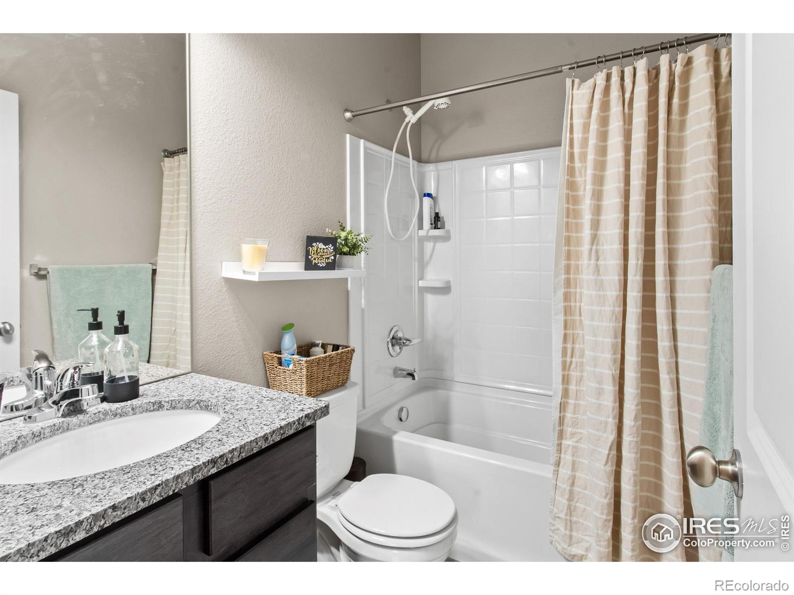 MLS Image #10 for 3813  buckthorn street,wellington, Colorado
