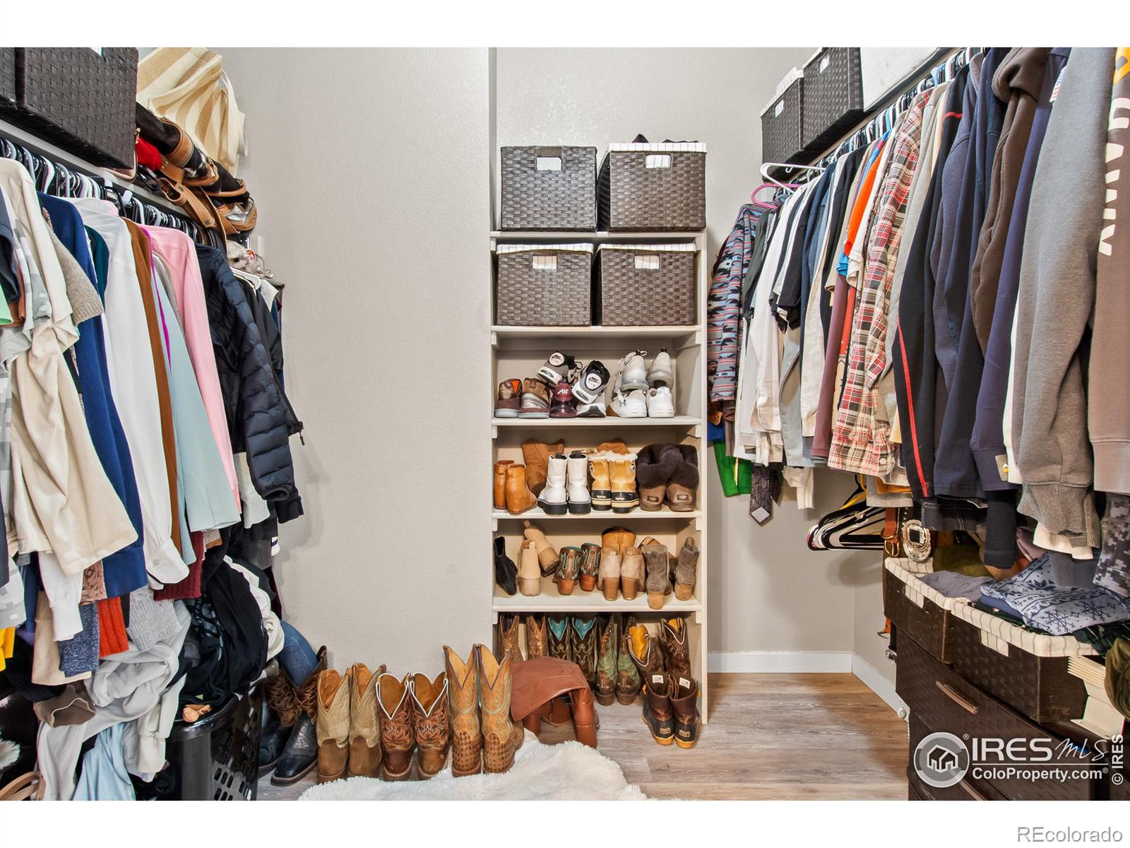 MLS Image #27 for 3813  buckthorn street,wellington, Colorado