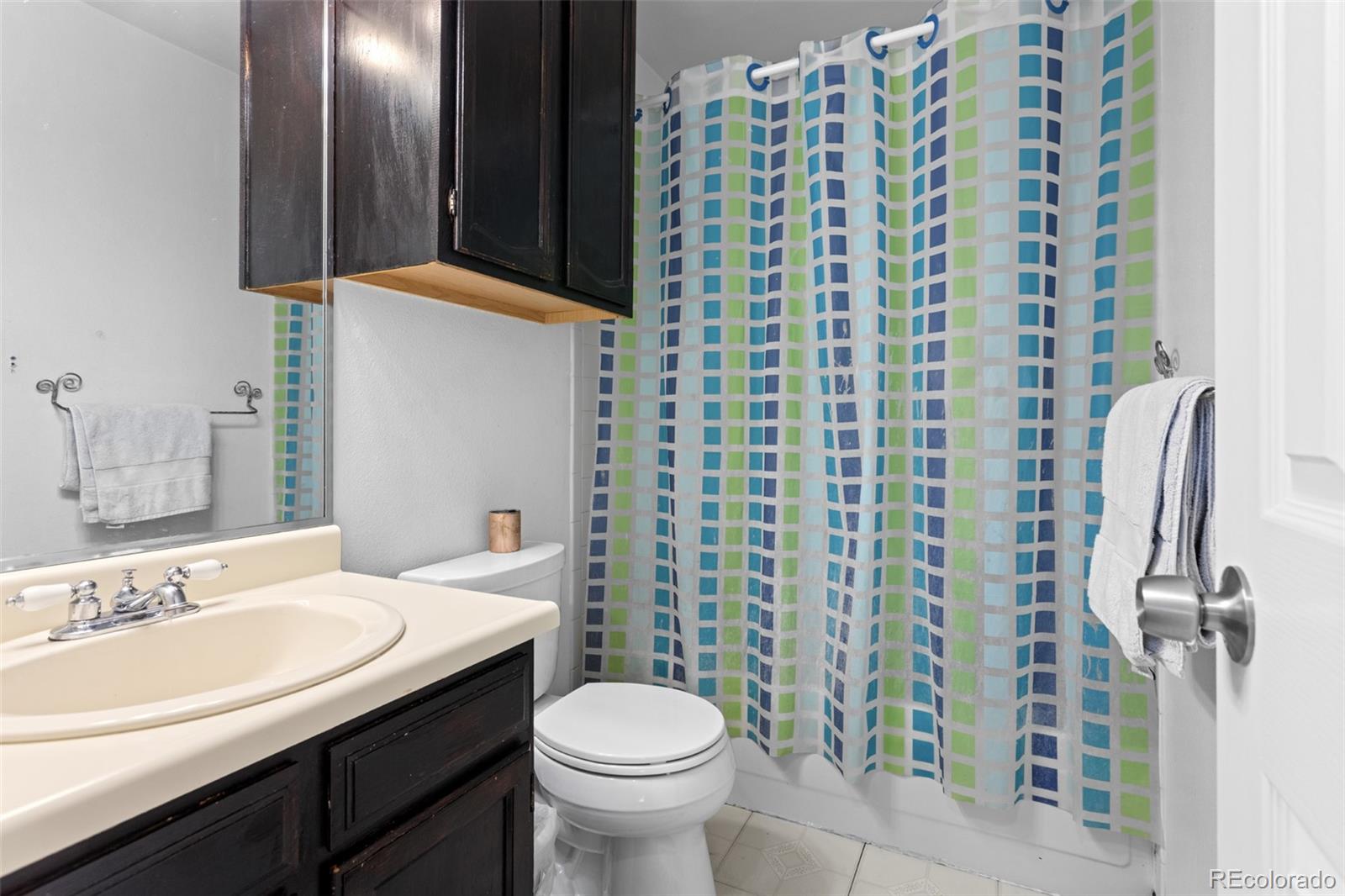 MLS Image #38 for 18982 e 46th avenue,denver, Colorado