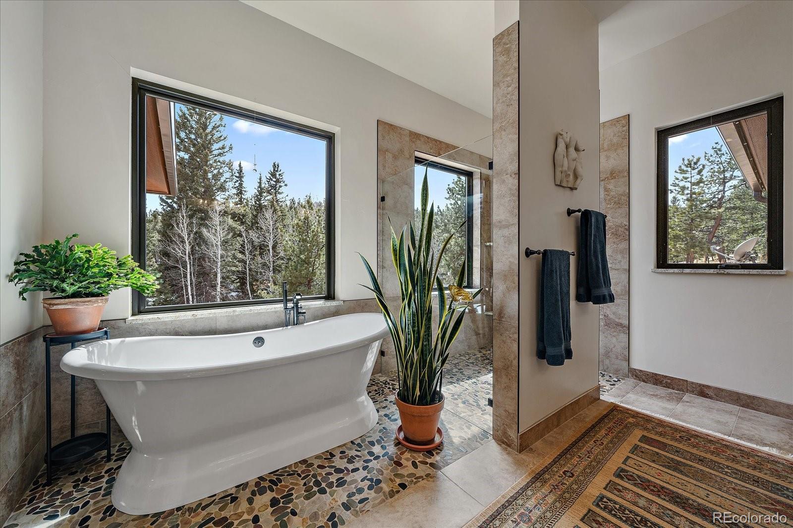 MLS Image #26 for 280  double tree ,bailey, Colorado