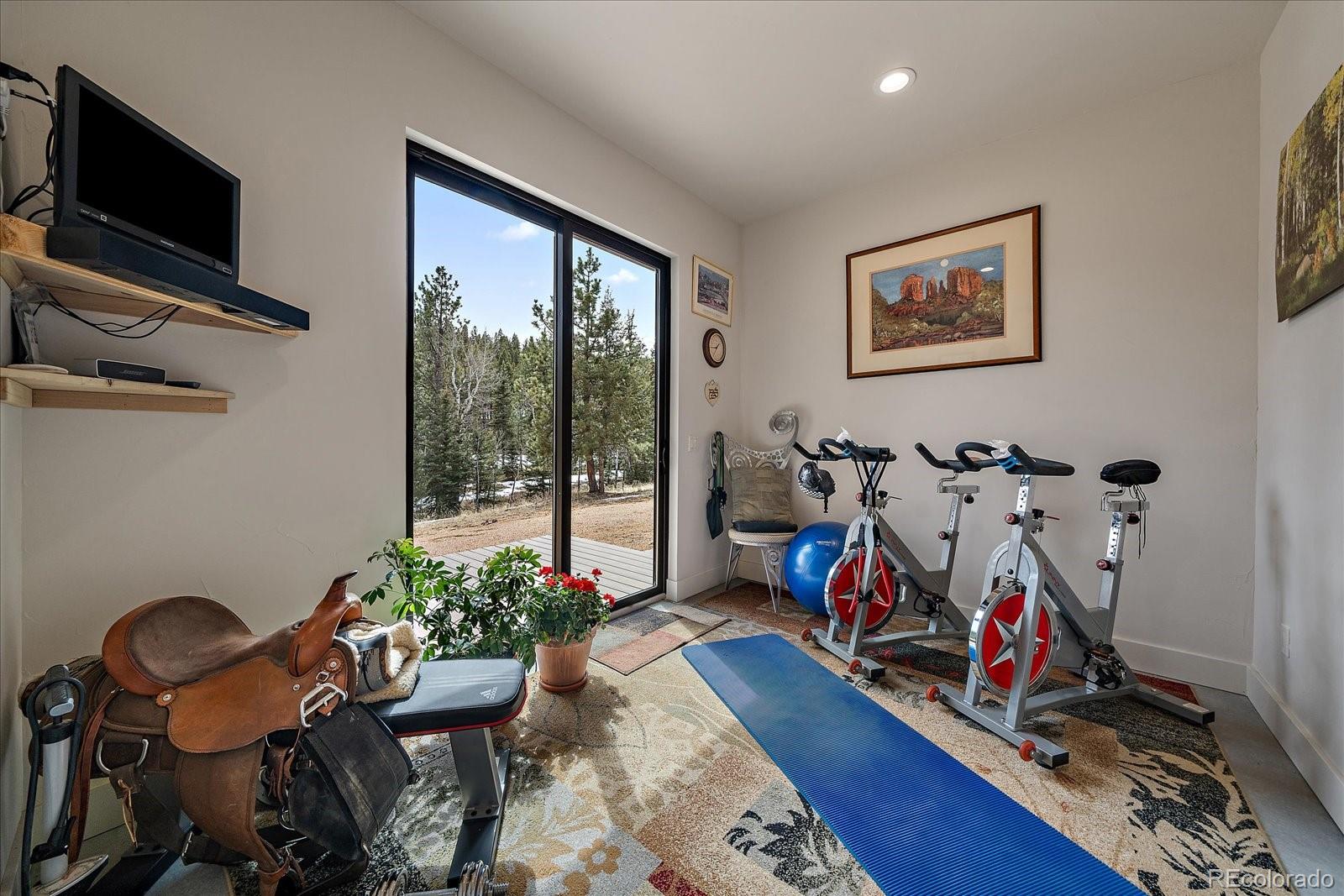 MLS Image #39 for 280  double tree ,bailey, Colorado