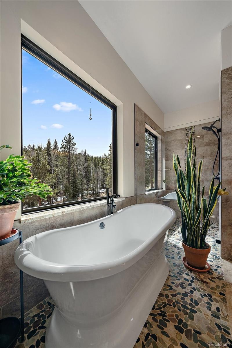 MLS Image #4 for 280  double tree ,bailey, Colorado