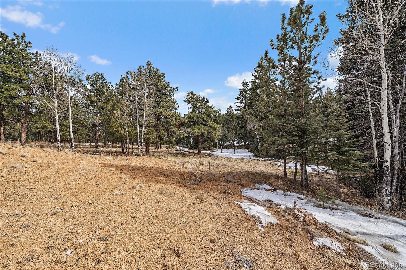 MLS Image #44 for 280  double tree ,bailey, Colorado