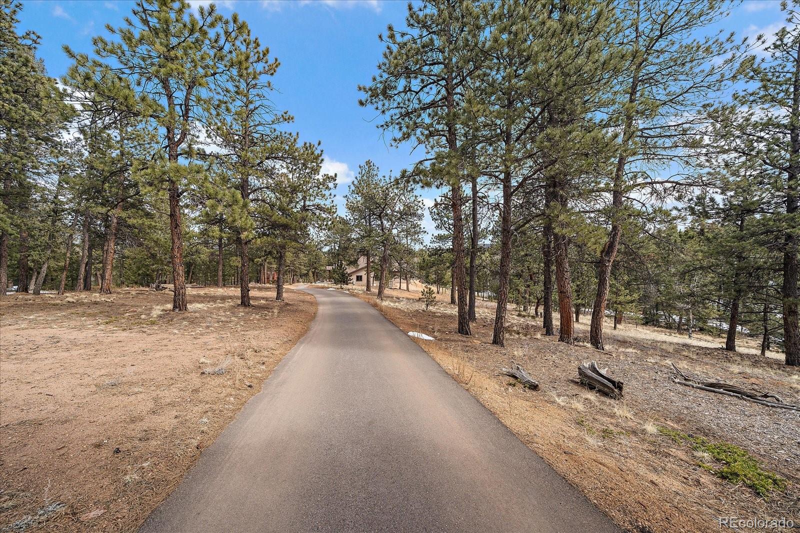 MLS Image #46 for 280  double tree ,bailey, Colorado