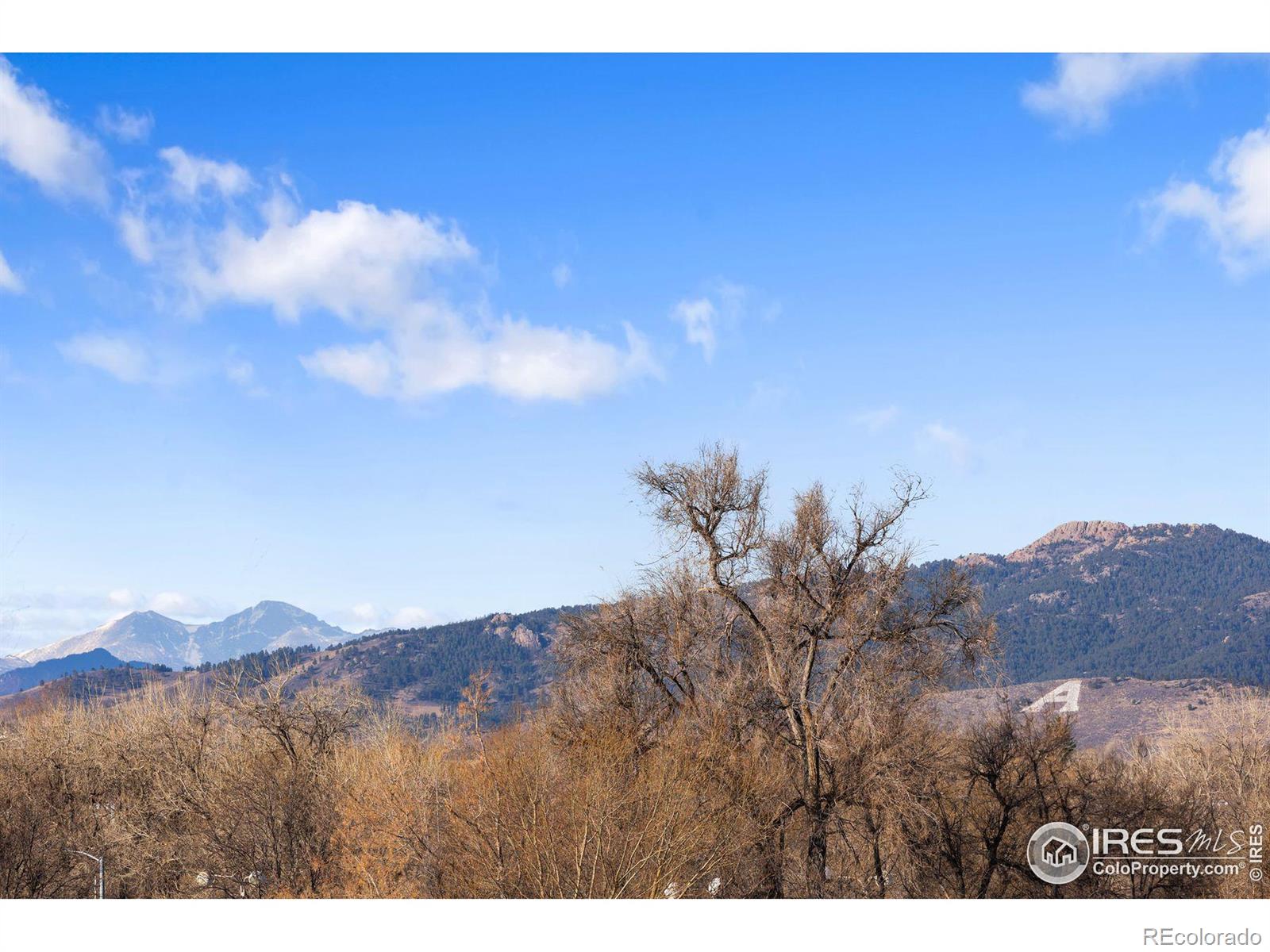 MLS Image #29 for 826  jerome street,fort collins, Colorado